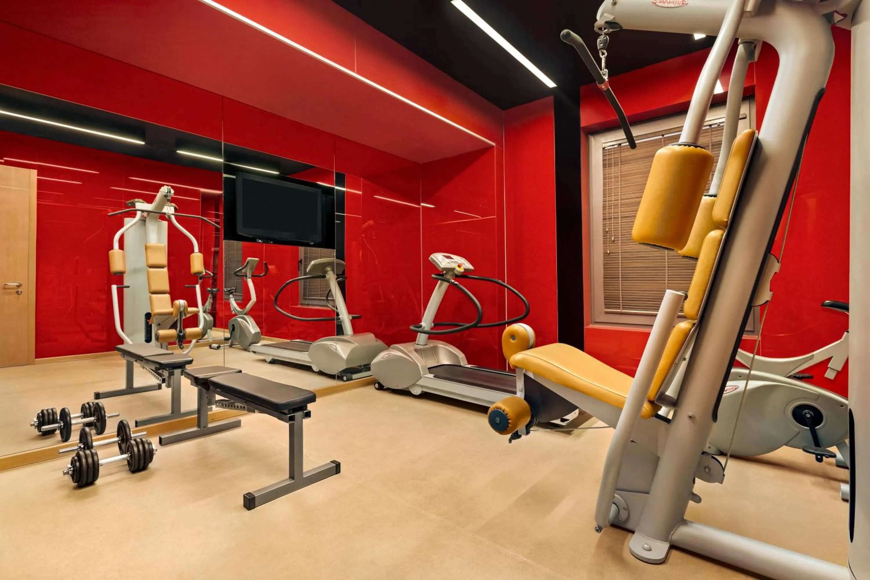 Zeus Thessaloniki Lazart