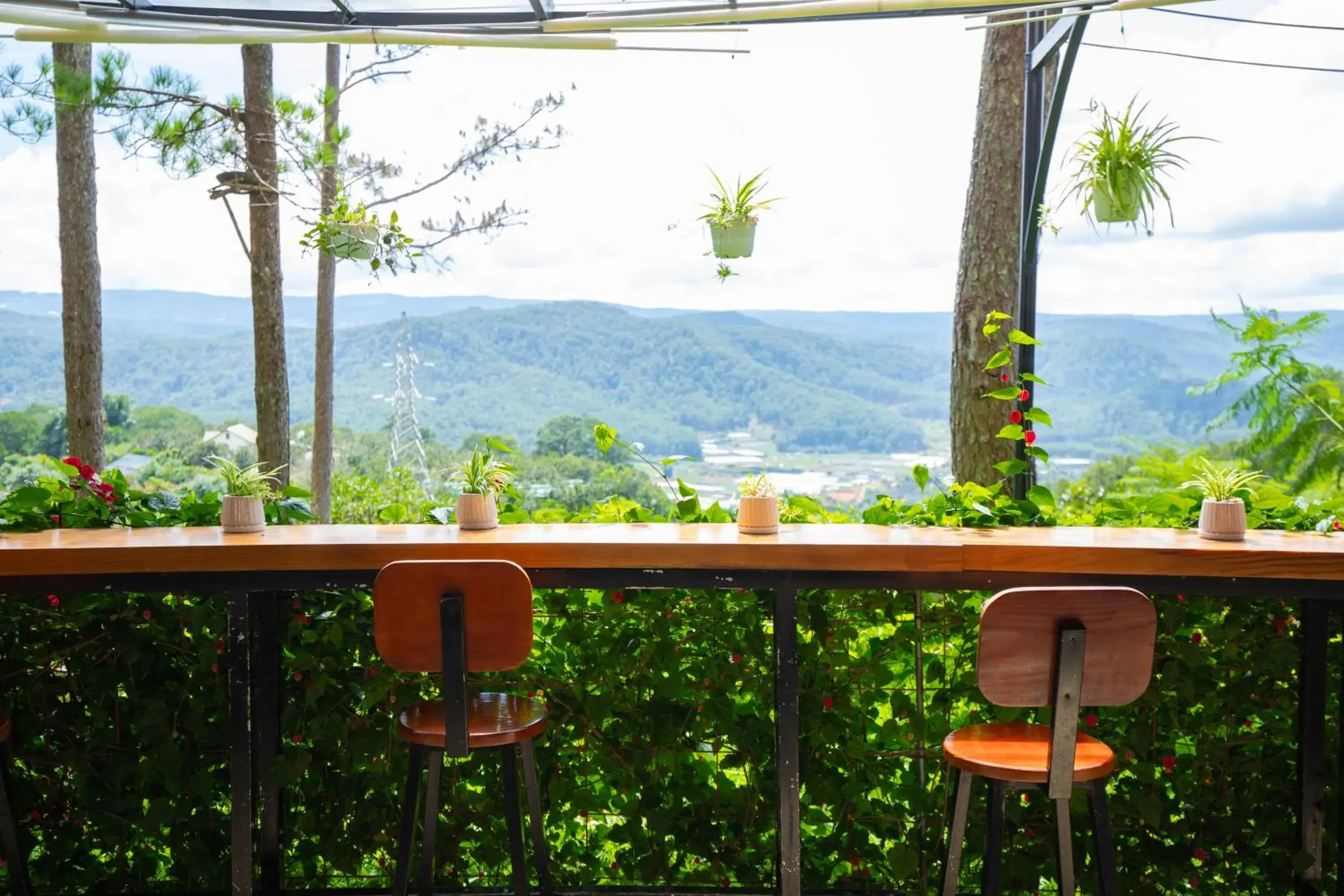 Mountain view in Omirita Resort Dalat Mountain view in Omirita Resort Dalat