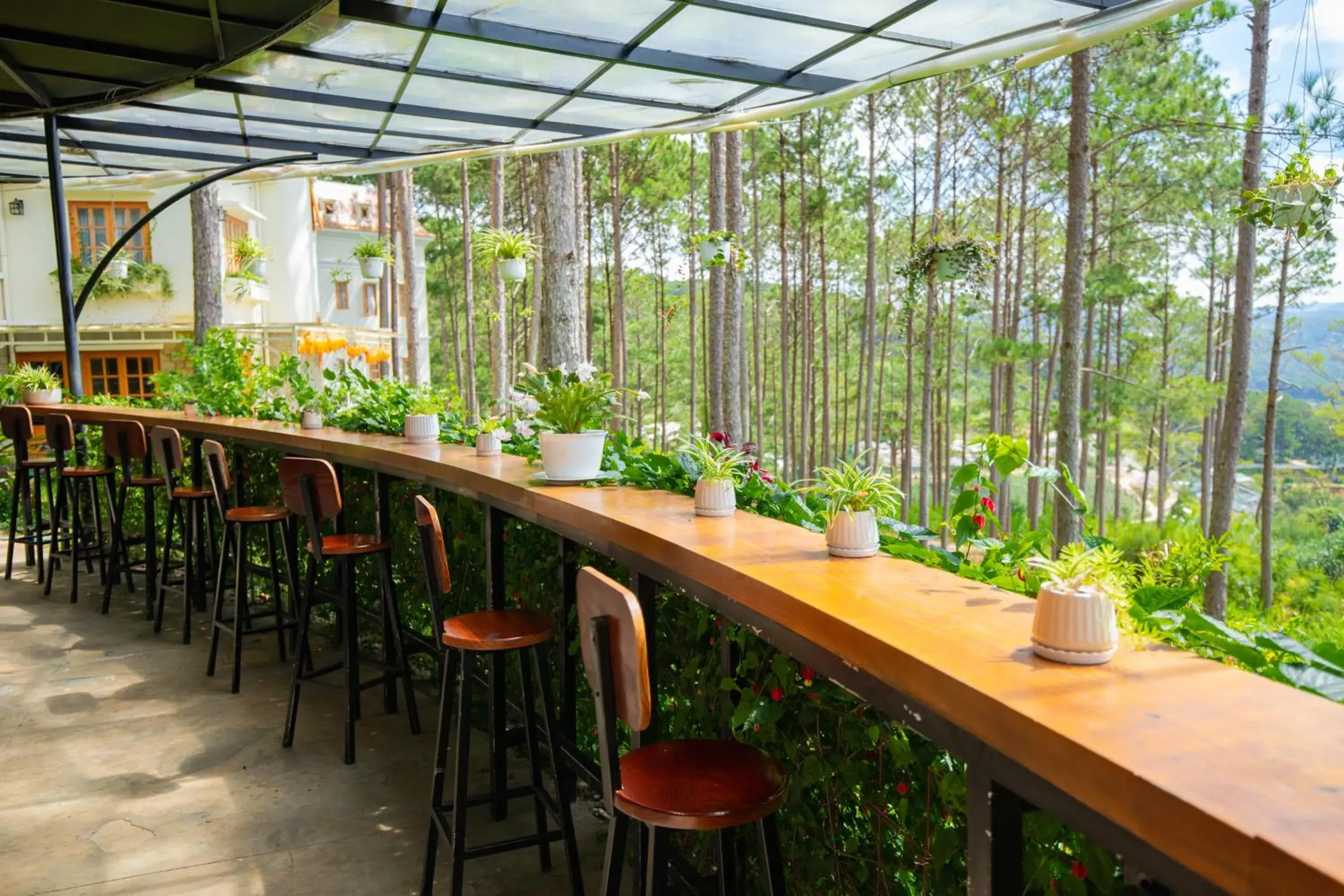 View (from property/room) in Omirita Resort Dalat View (from property/room) in Omirita Resort Dalat