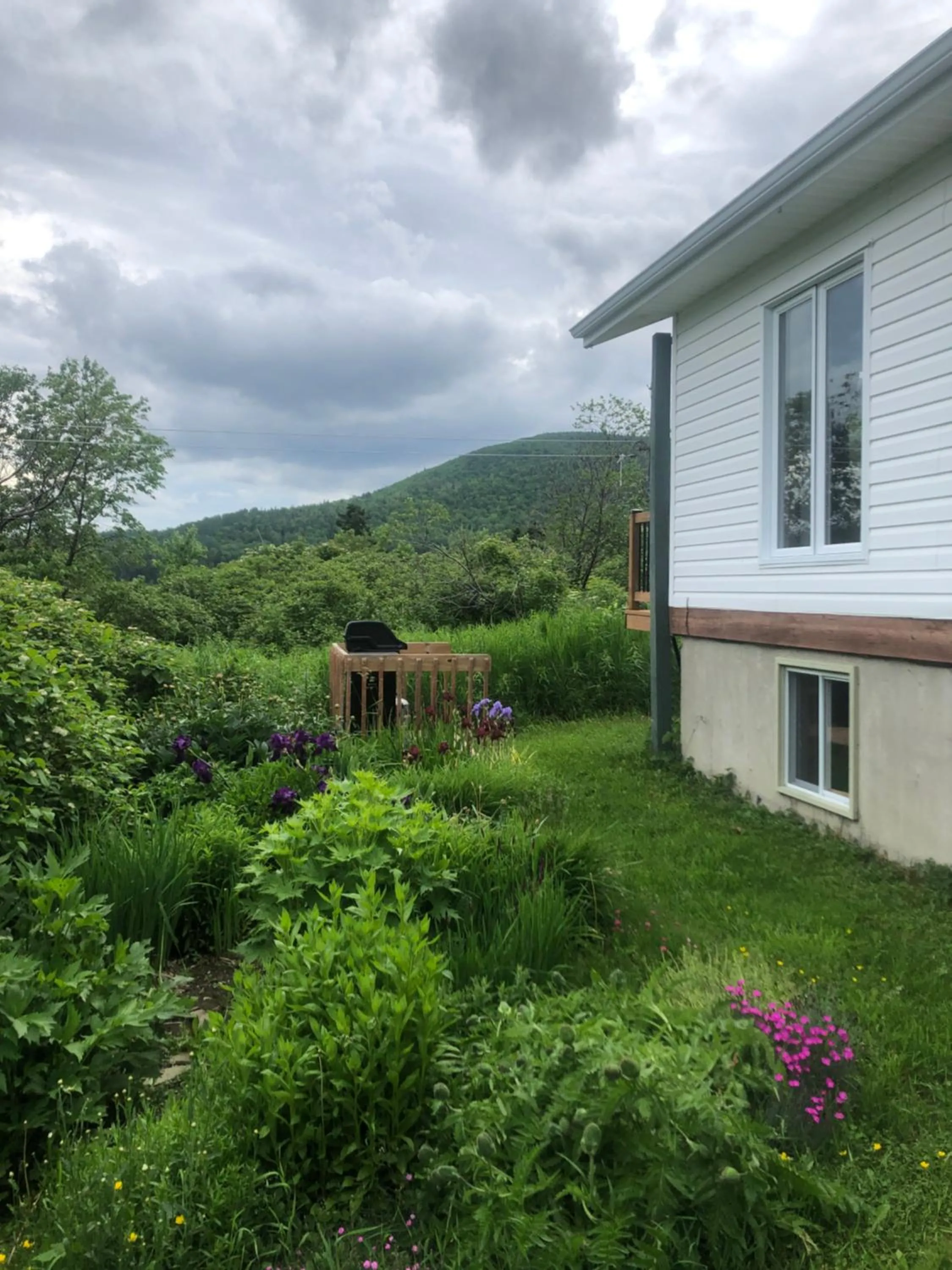 Garden view in Chalets les chanterelles de Forillon