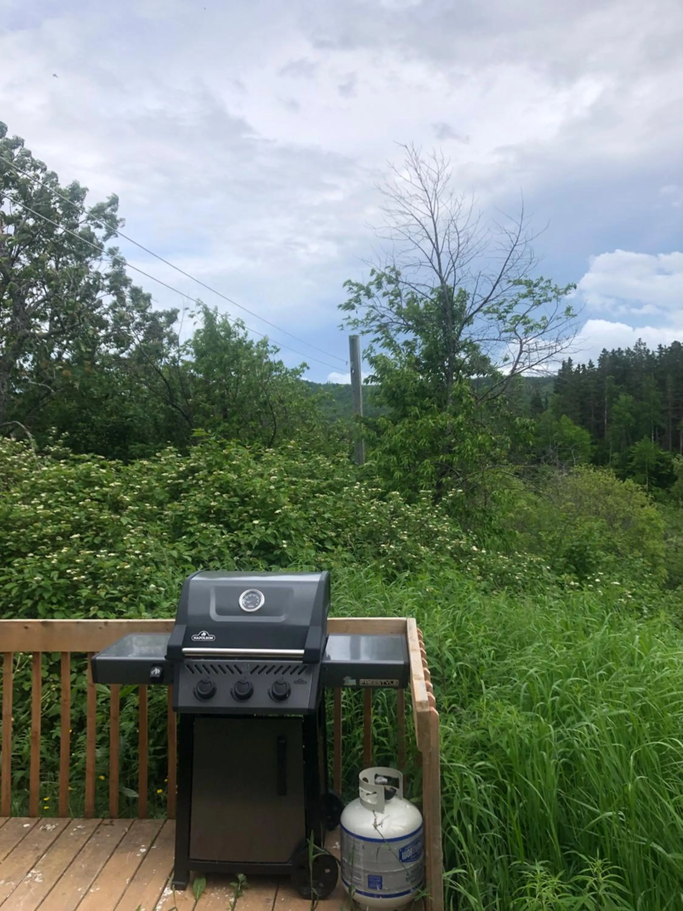 Natural landscape in Chalets les chanterelles de Forillon