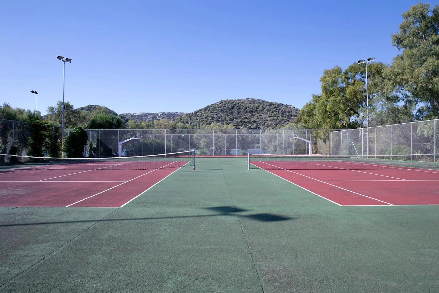 Activities in Zeus Dolce by Wyndham Athens