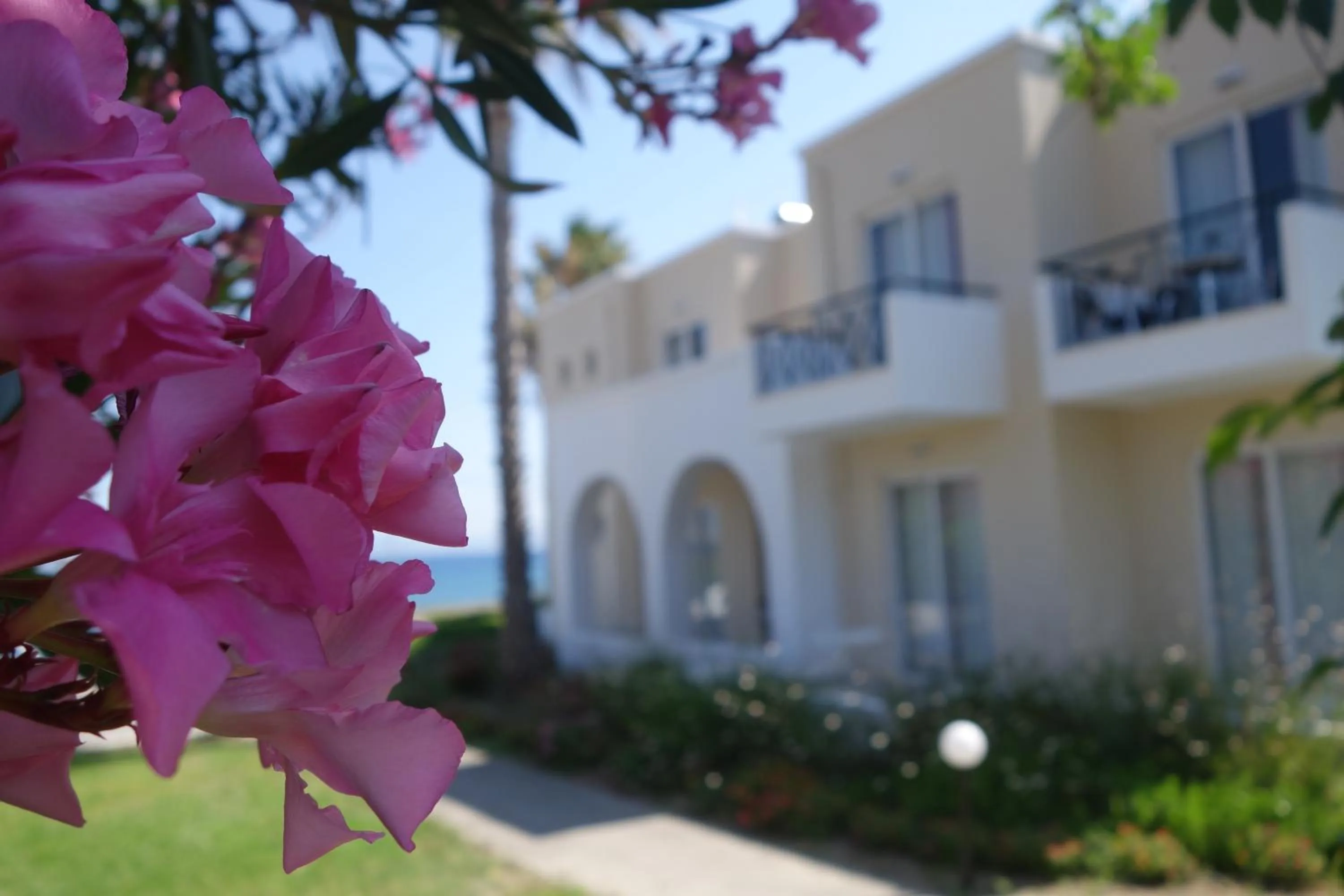 Other in Andromeda Hotel Apartments