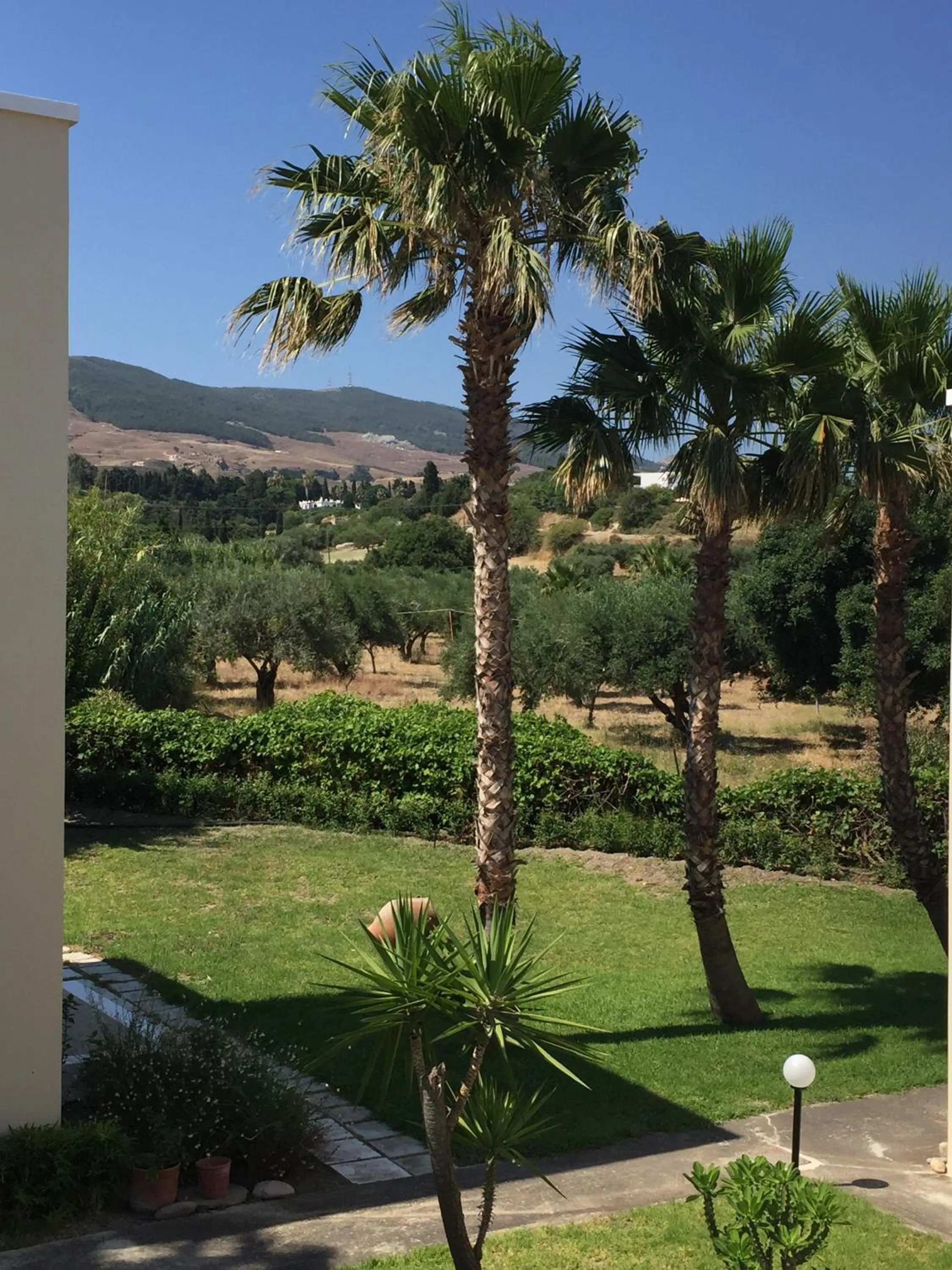 Garden in Andromeda Hotel Apartments