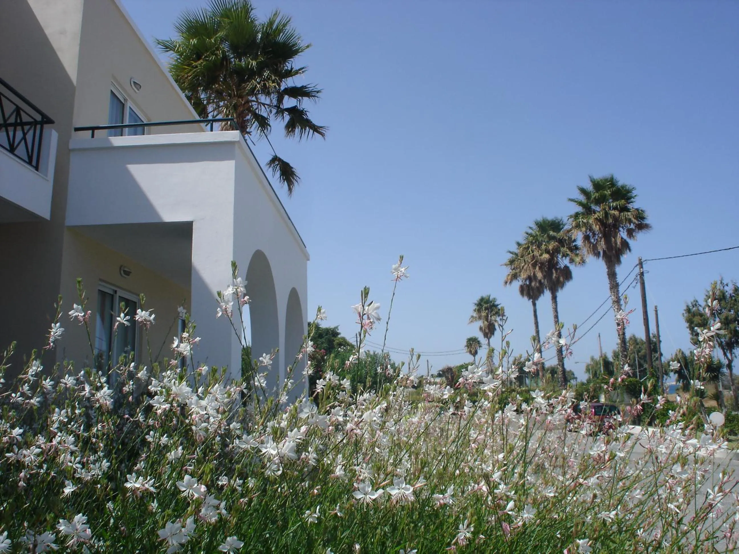 Garden in Andromeda Hotel Apartments