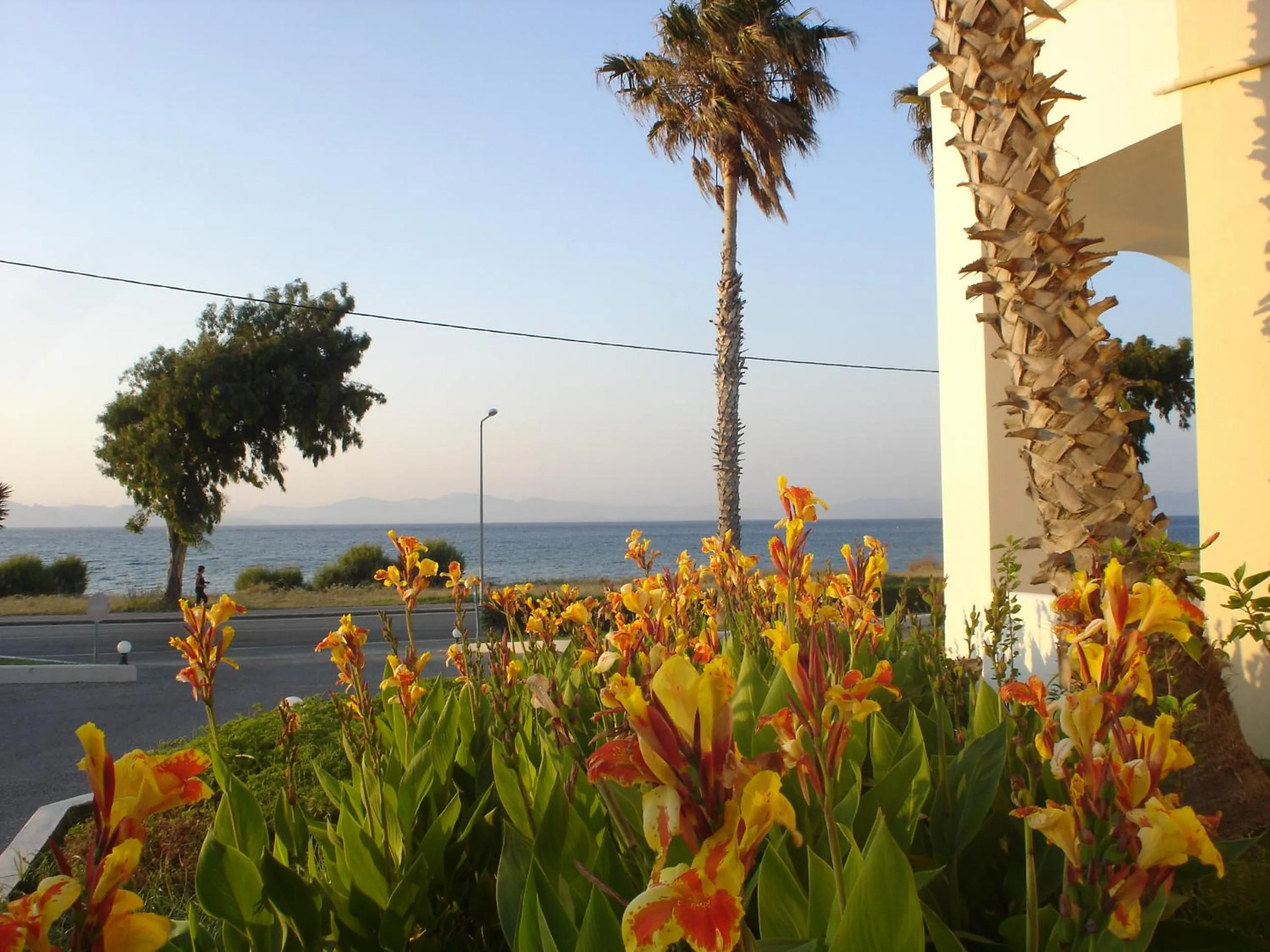 Sea view in Andromeda Hotel Apartments