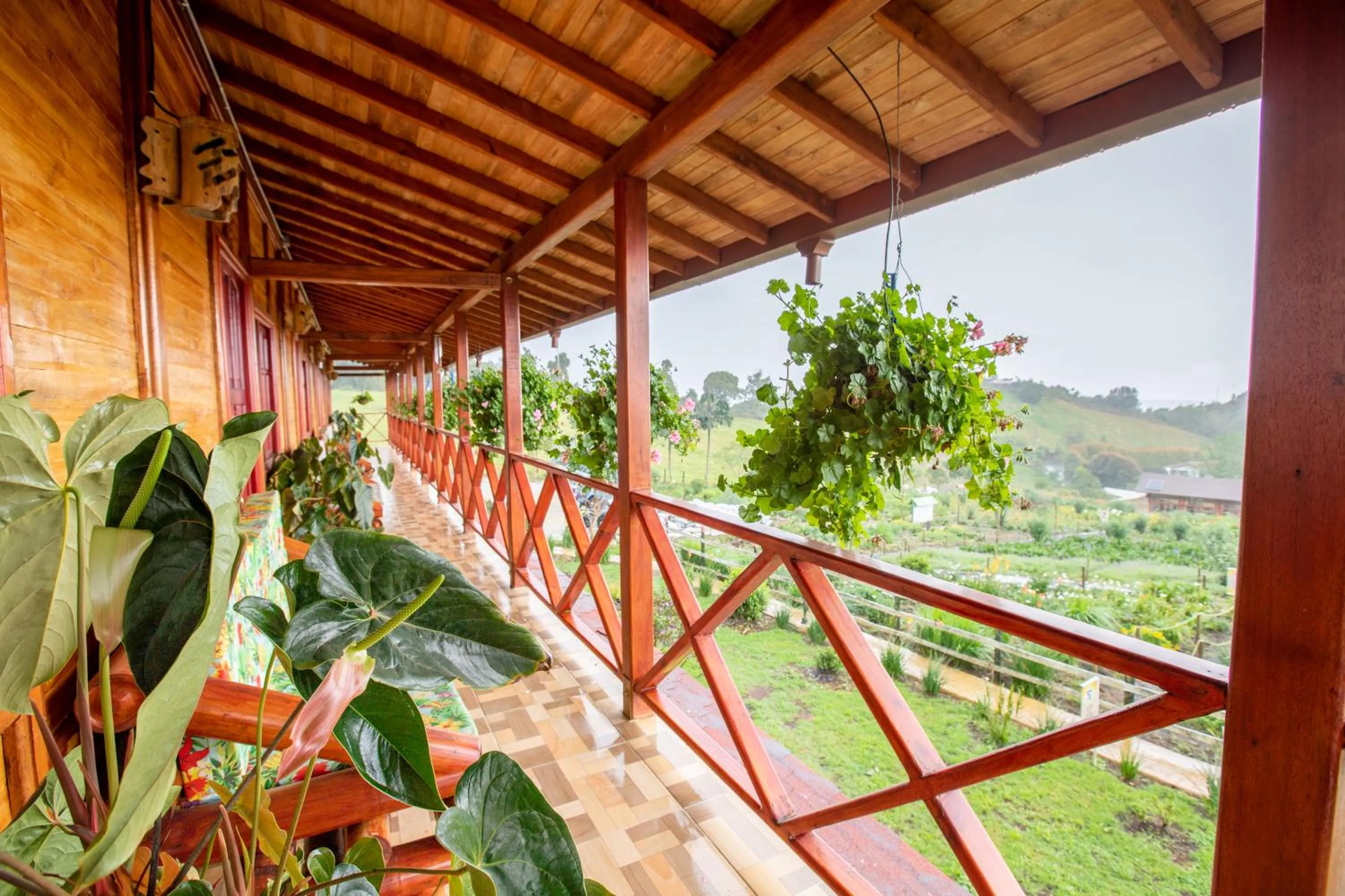 Spring in Jardin de los Silleteros Agro Parque Hotel