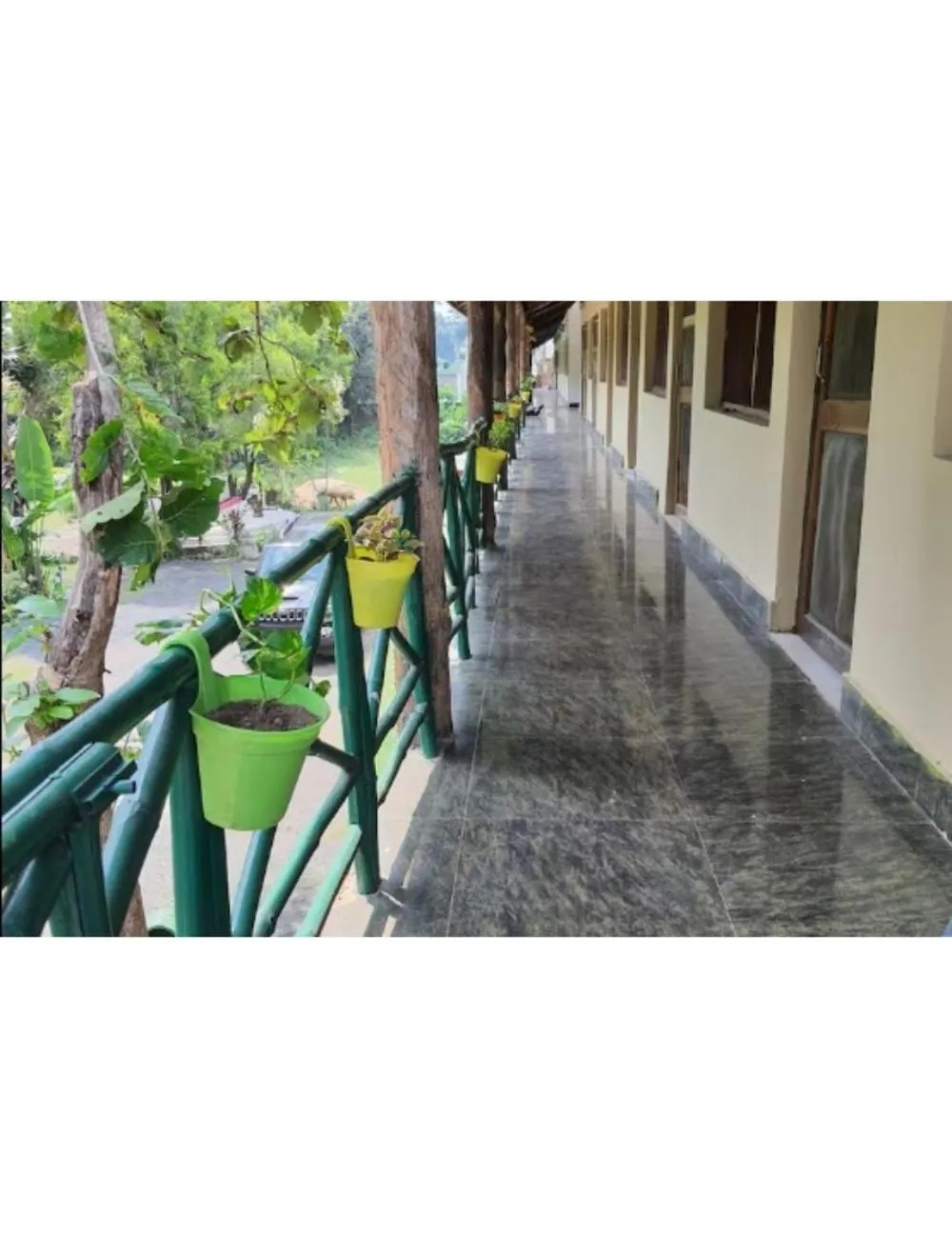 View (from property/room) in Tigers Villa, Tala Bandhavgarh