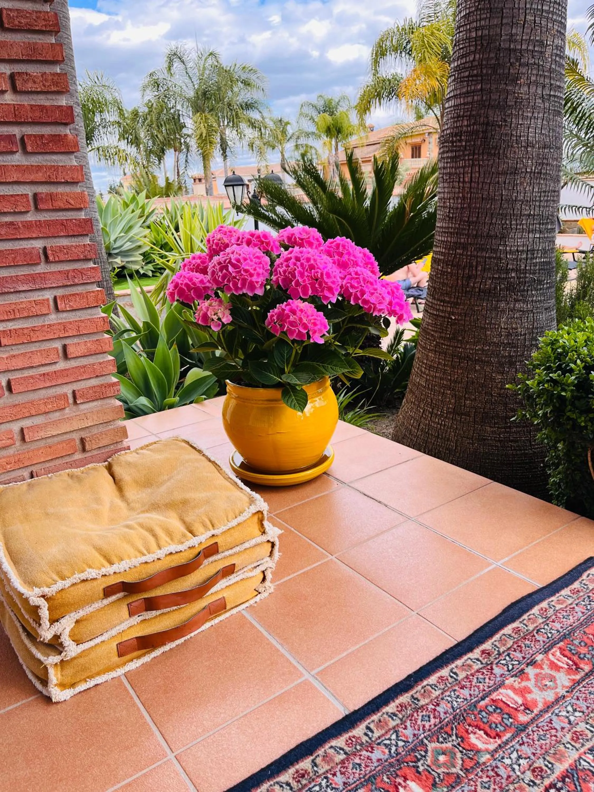 Garden in Casa Limon, boutique Bed and Breakfast, Andalucia