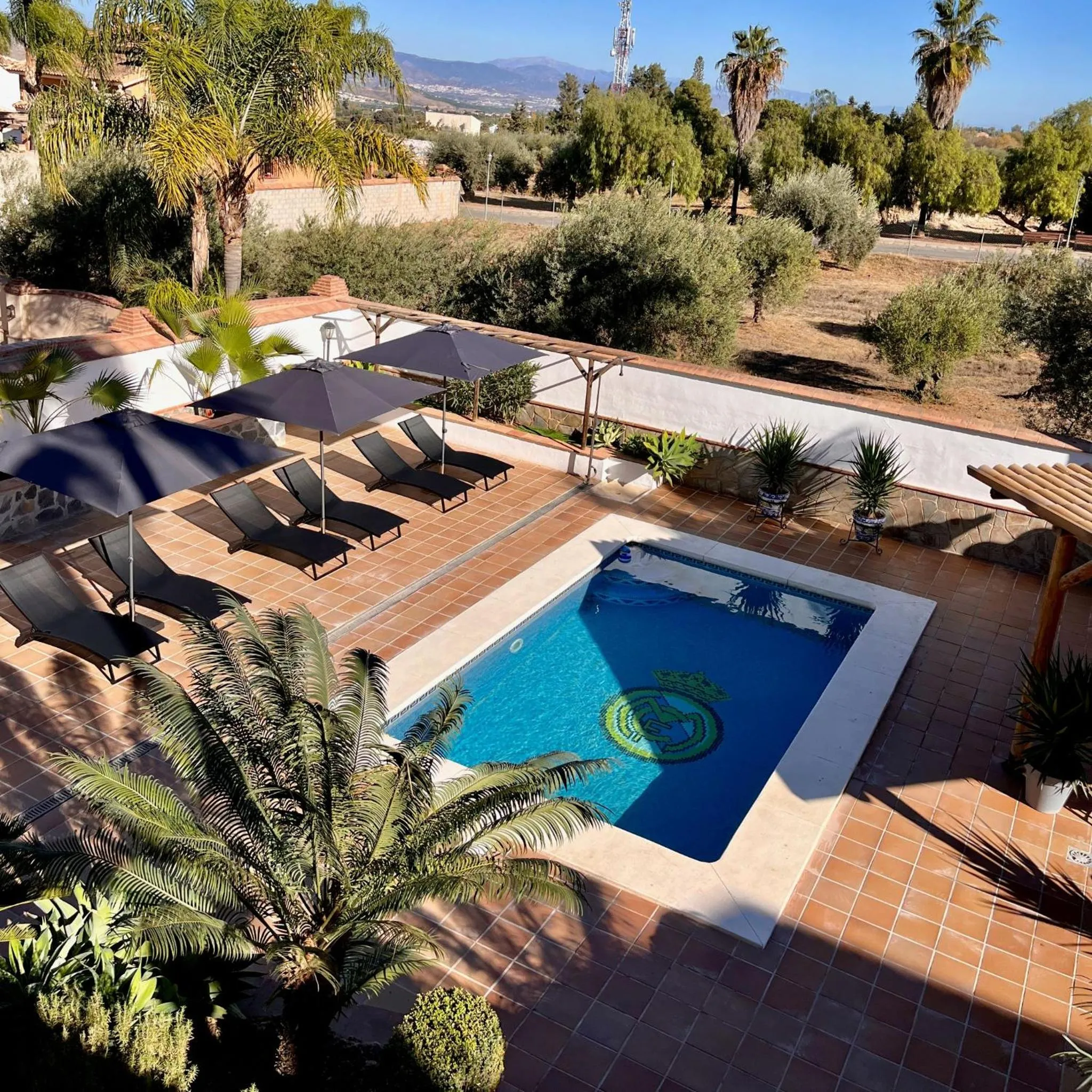 Garden in Casa Limon, boutique Bed and Breakfast, Andalucia