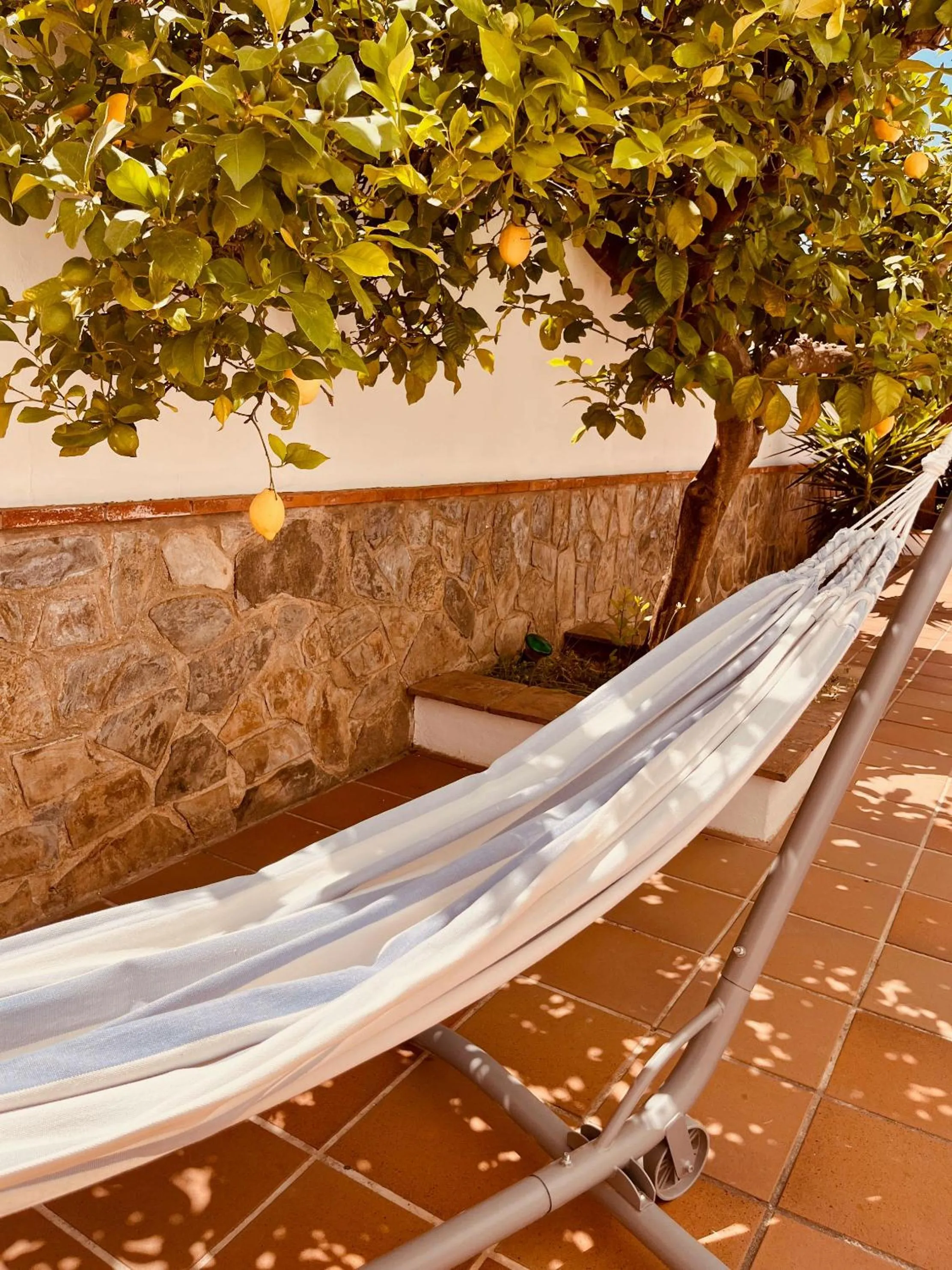 Garden in Casa Limon, boutique Bed and Breakfast, Andalucia