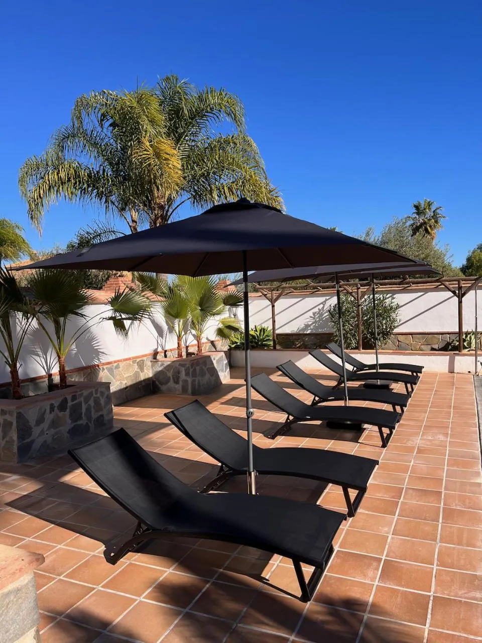 Garden in Casa Limon, boutique Bed and Breakfast, Andalucia
