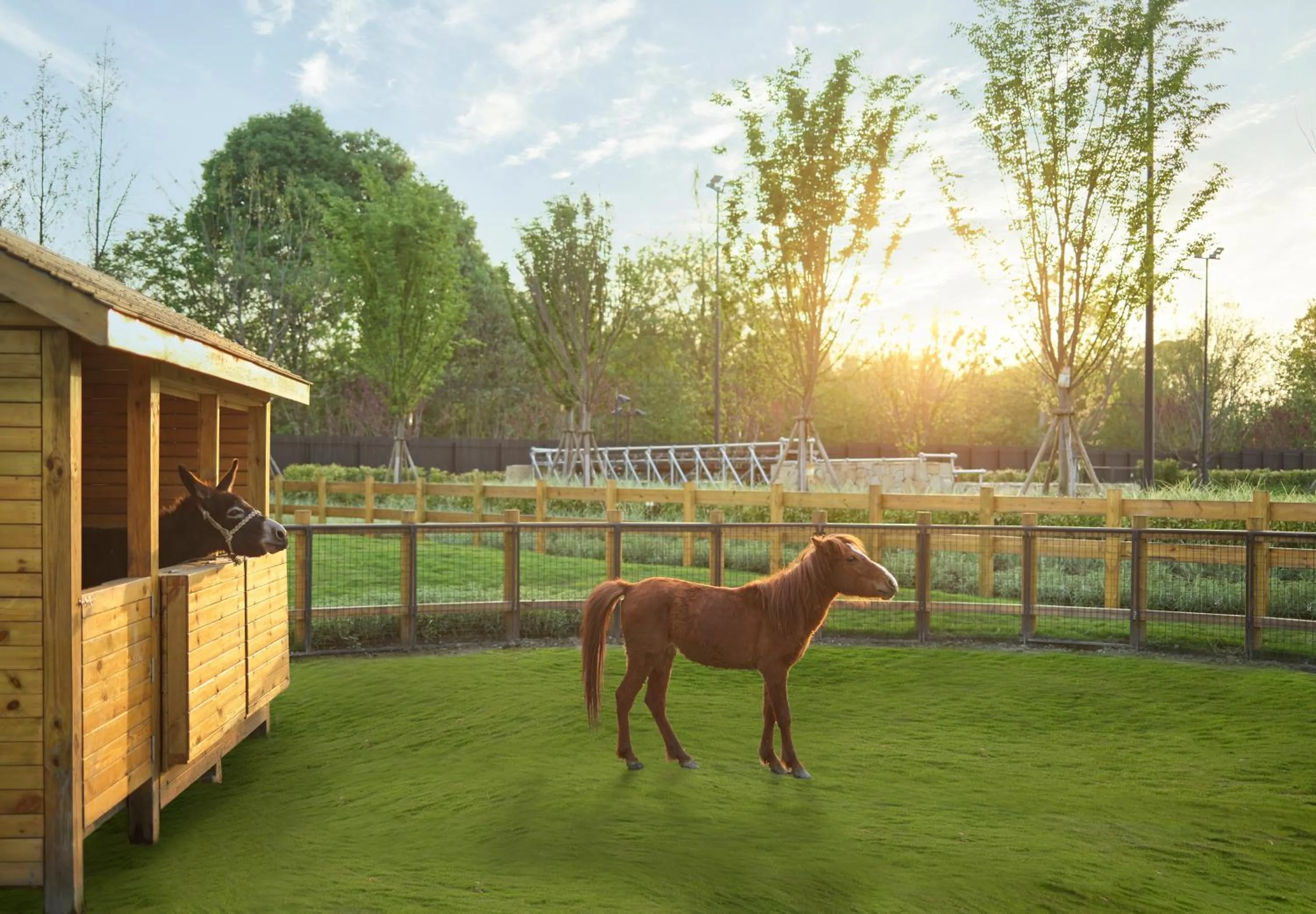 Animals in Angsana Chengdu Wenjiang