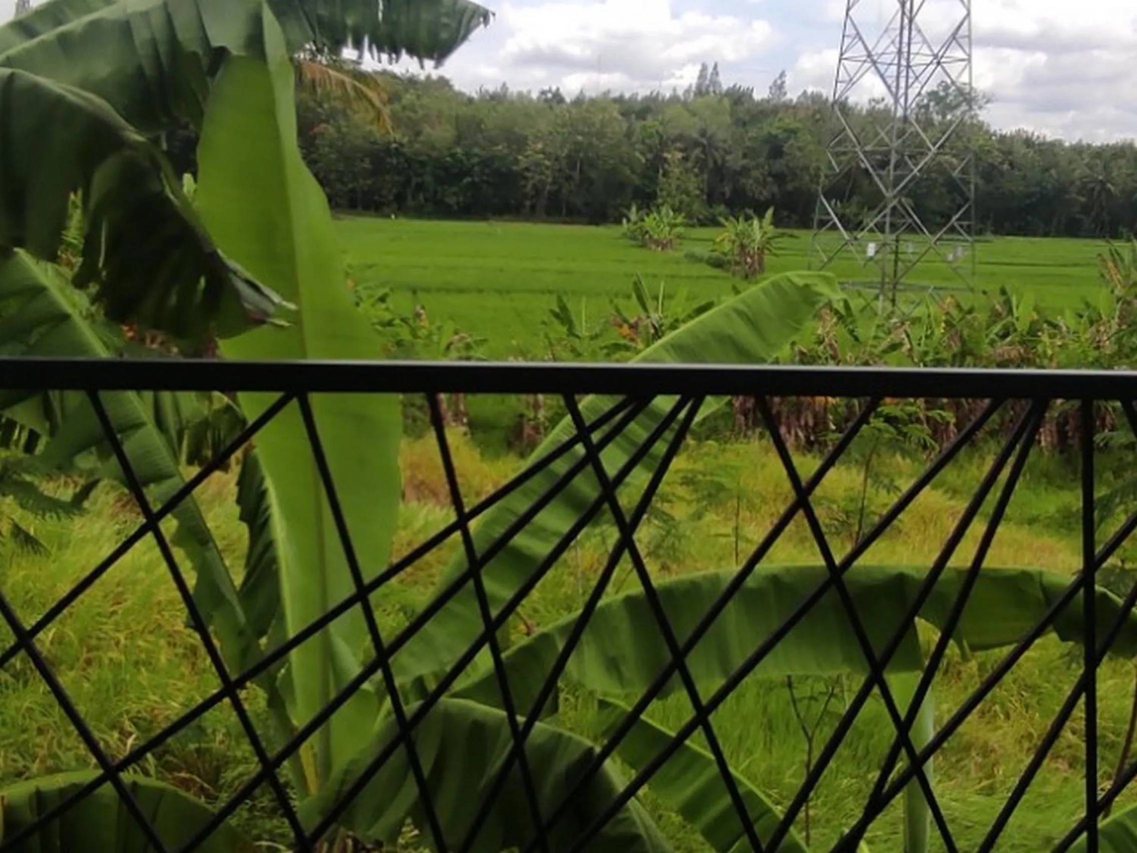 Natural landscape in Aliandra Villa by The Lavana