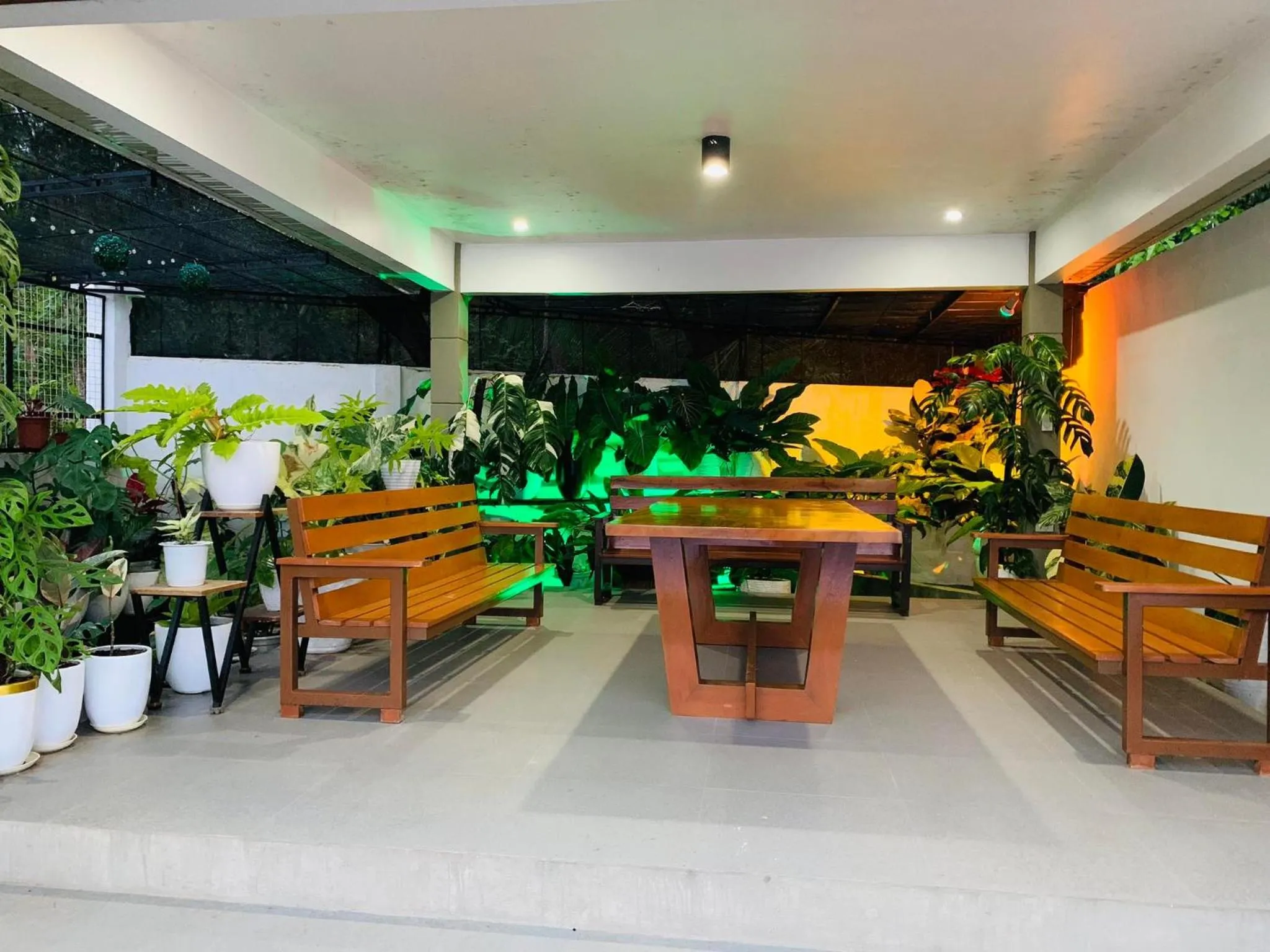 Garden in Sunshine Stay Panglao