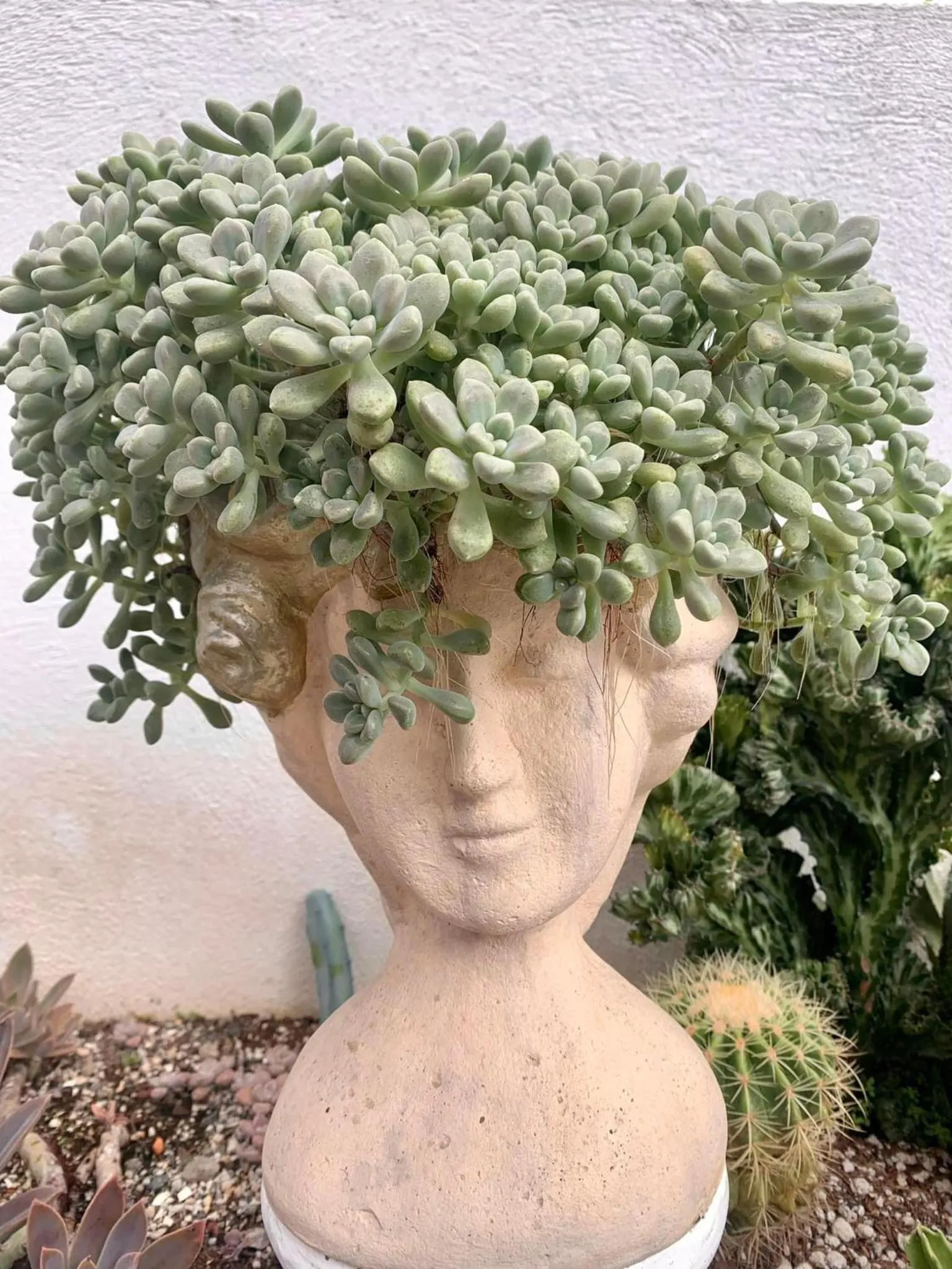 Garden in Sunshine Stay Panglao