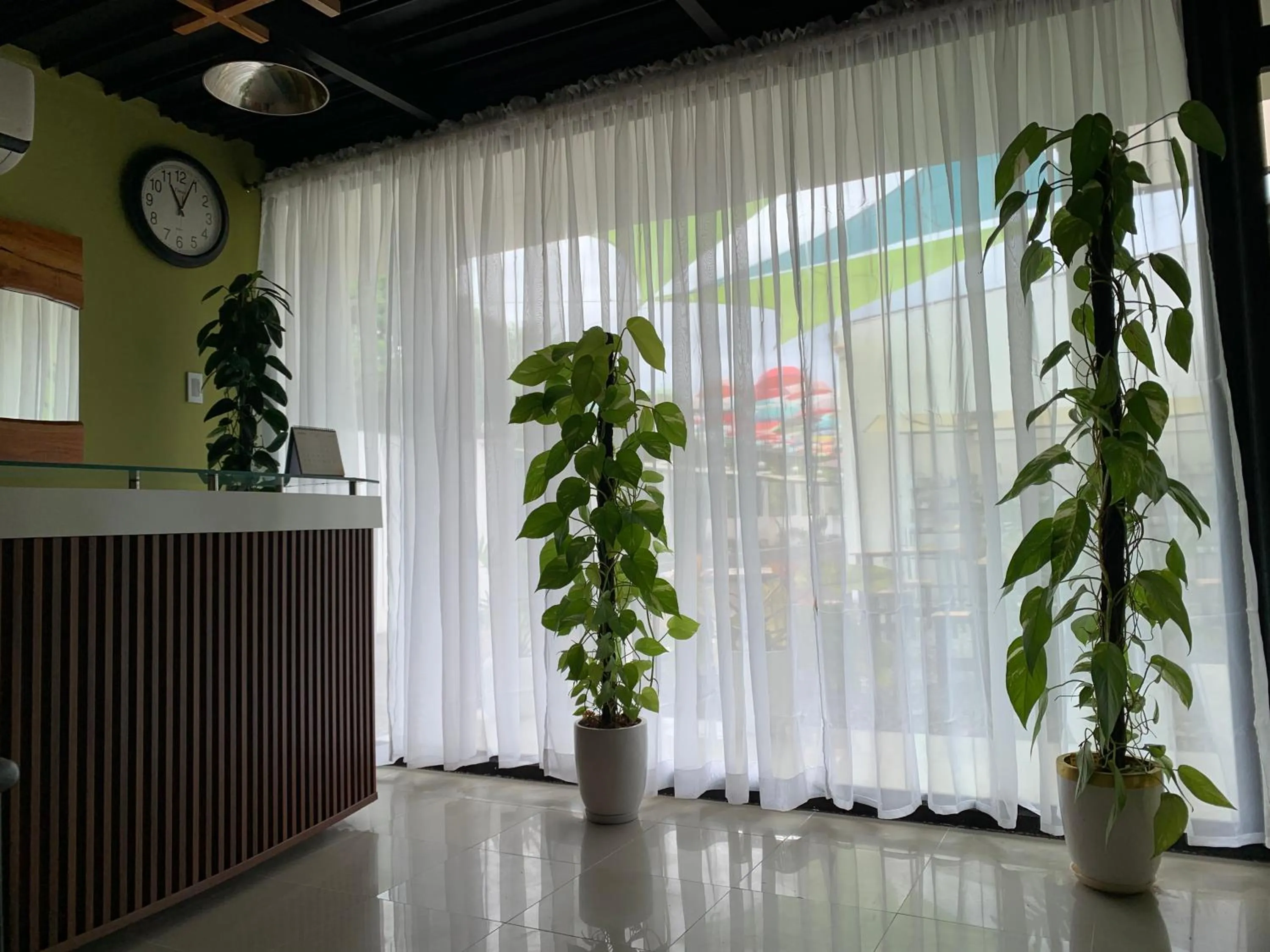 Property building in Sunshine Stay Panglao