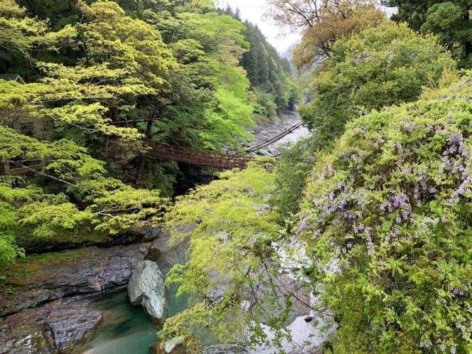 Nearby landmark in Iya Kankou Ryokan