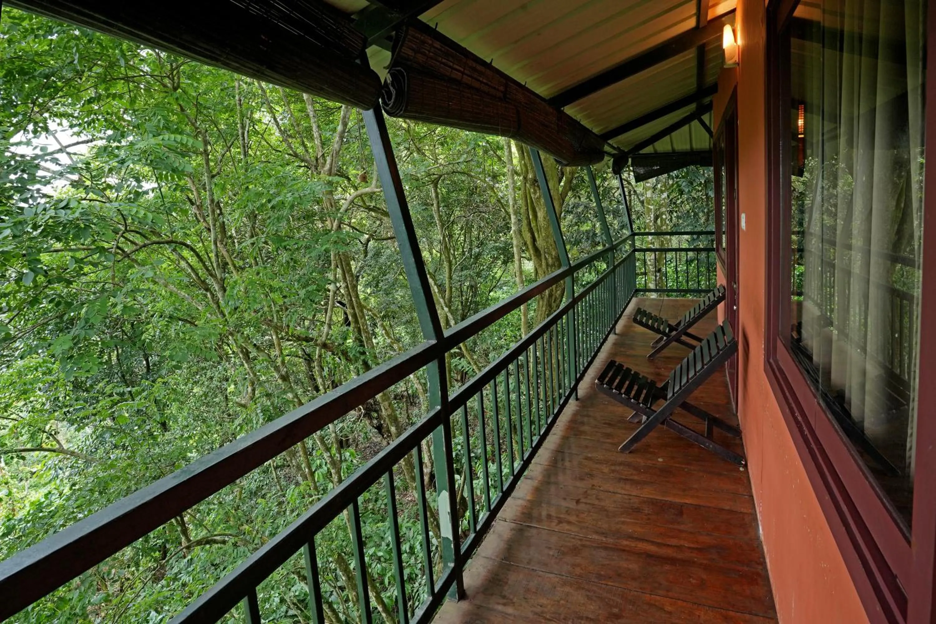 View (from property/room) in Coffee Acres Resort