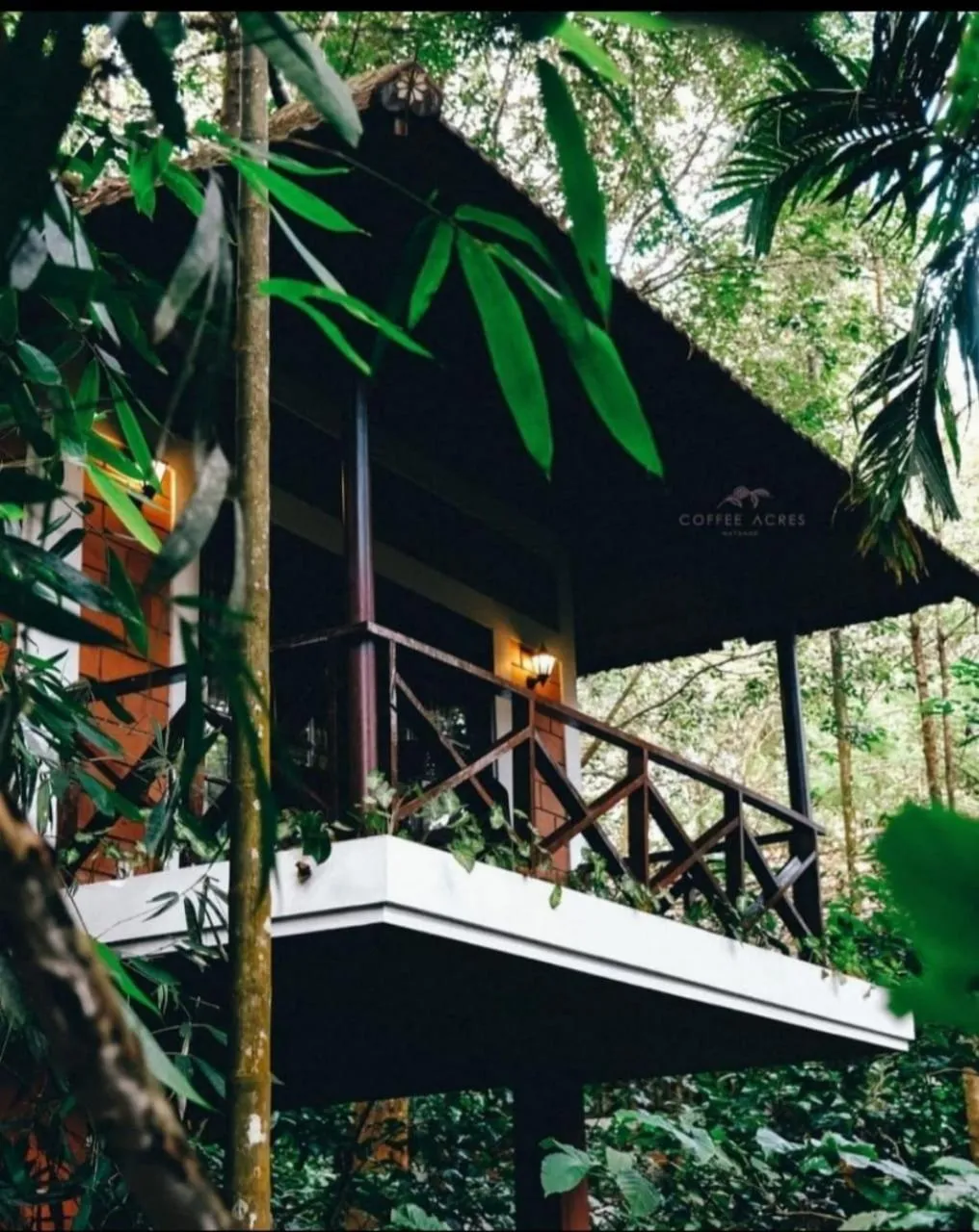 Natural landscape in Coffee Acres Resort