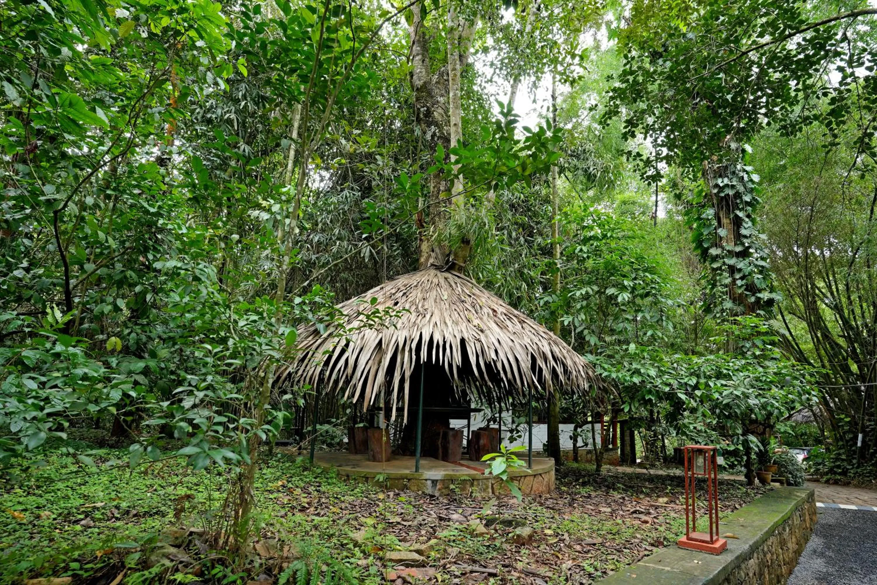 Garden in Coffee Acres Resort
