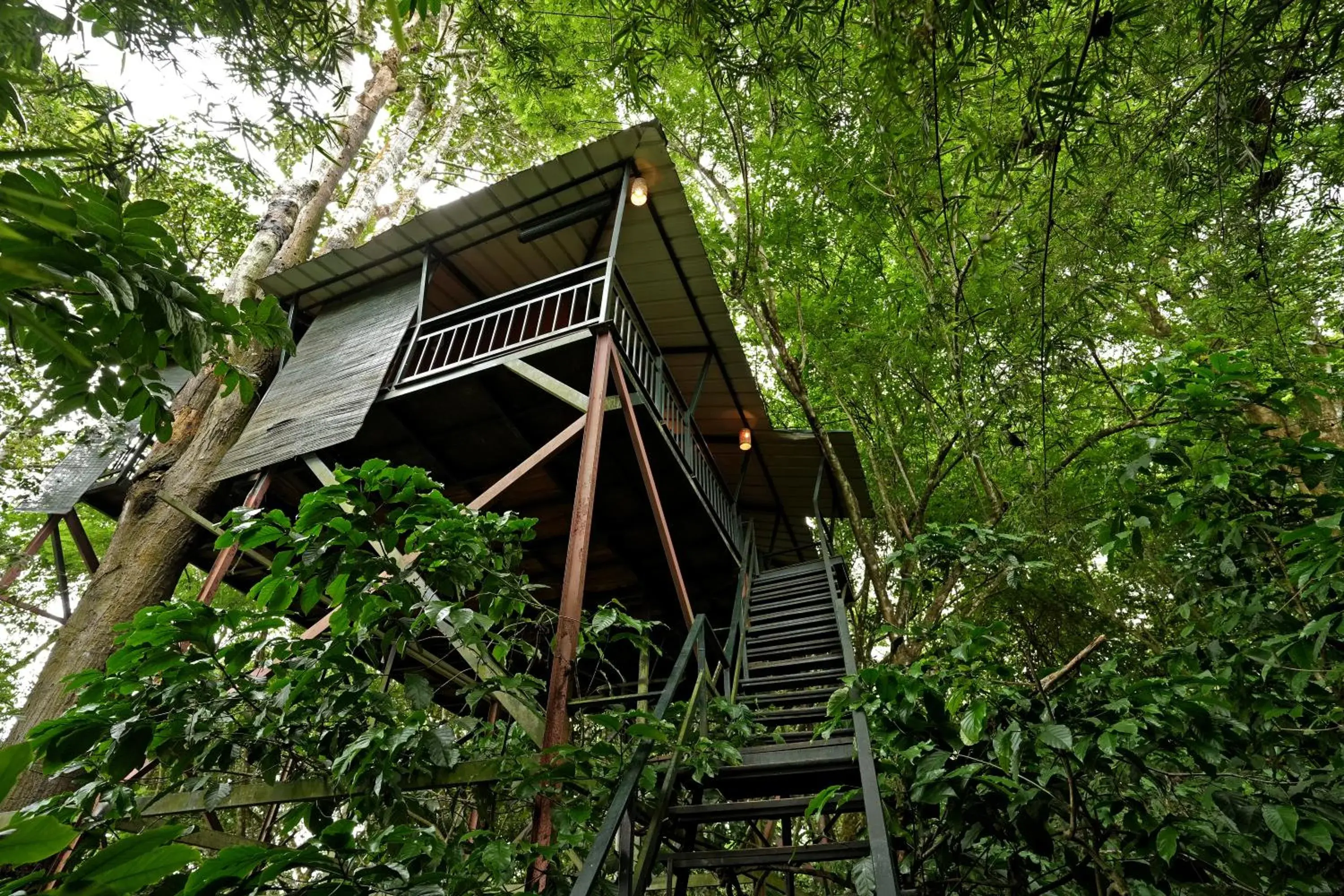 Standard Queen Room in Coffee Acres Resort Standard Queen Room in Coffee Acres Resort