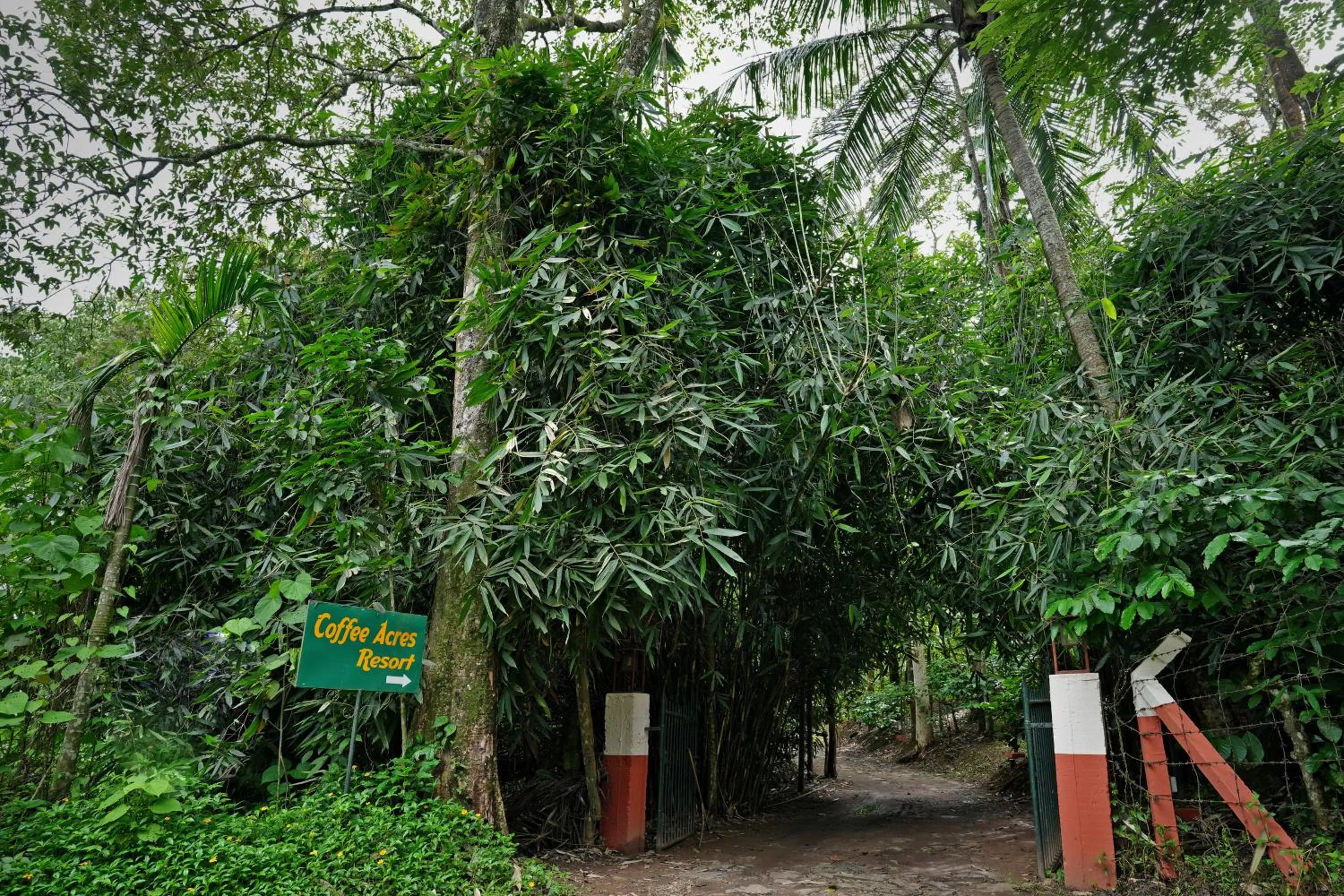 Facade/entrance in Coffee Acres Resort