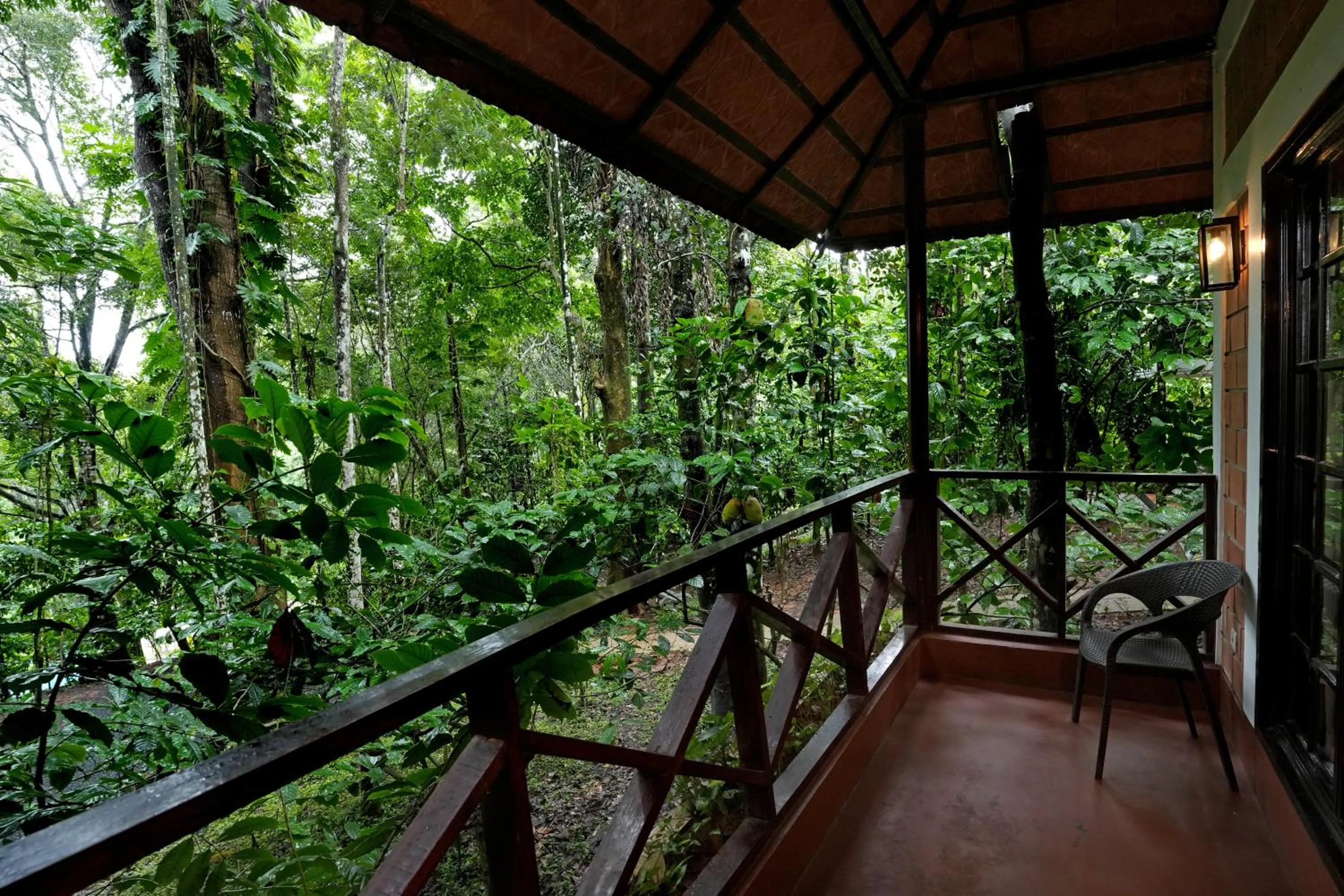 View (from property/room) in Coffee Acres Resort