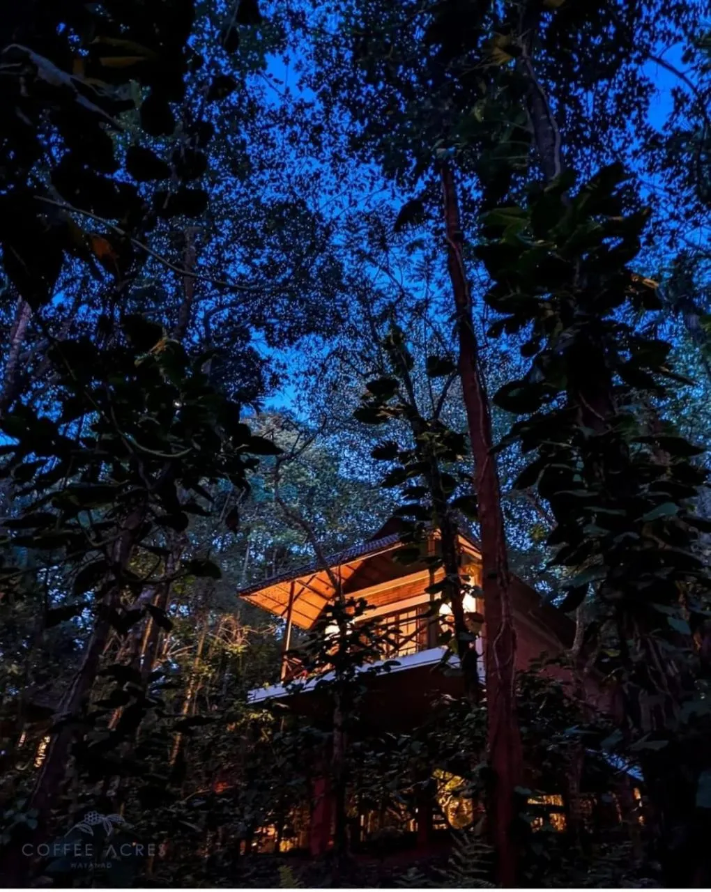 Night in Coffee Acres Resort