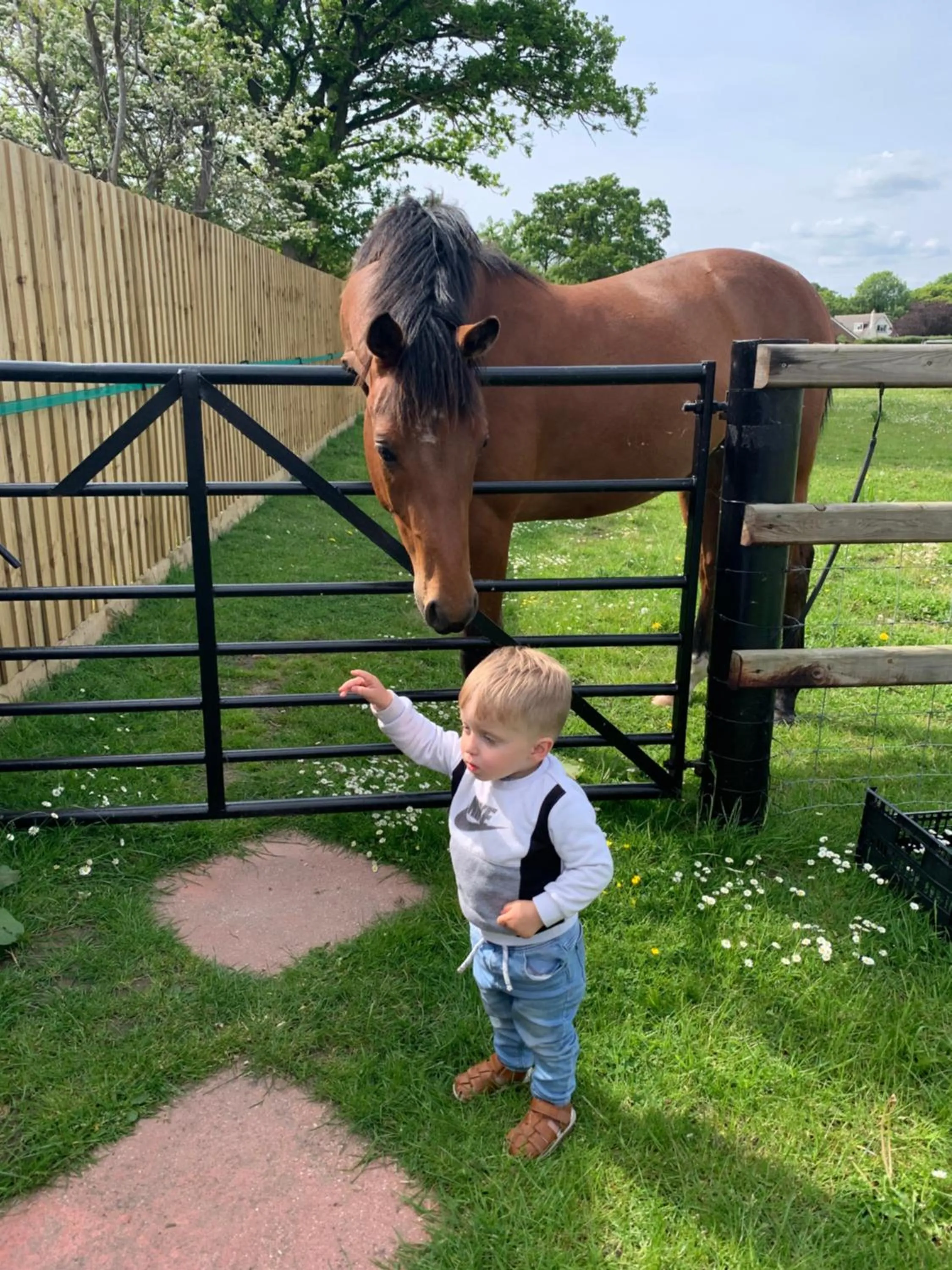 Animals in The Paddocks - Spacious annexe with rural outlook.