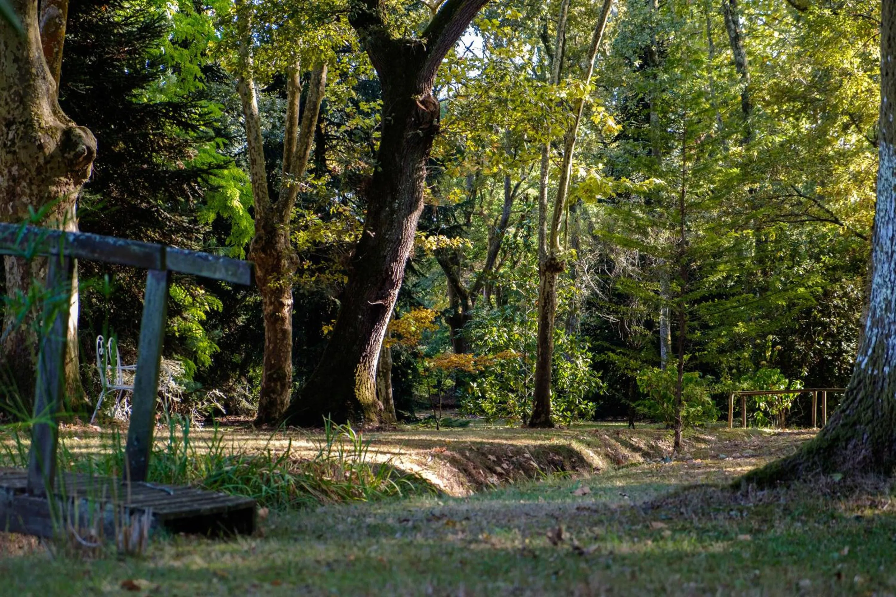 Garden in Parc de L'Aiguade