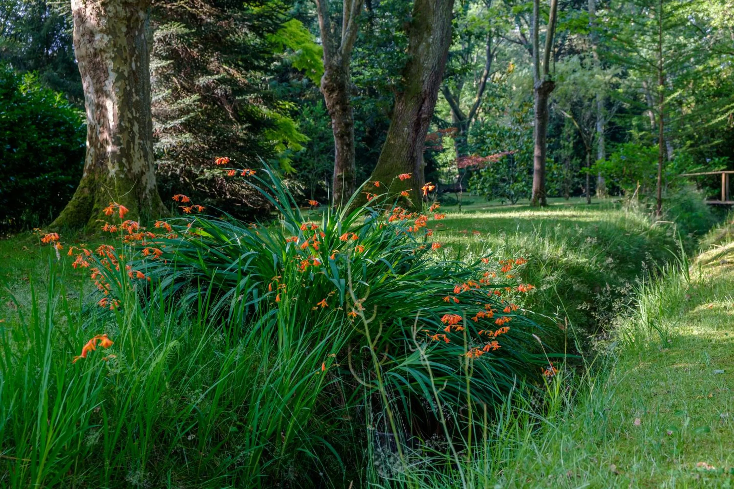 Garden in Parc de L'Aiguade