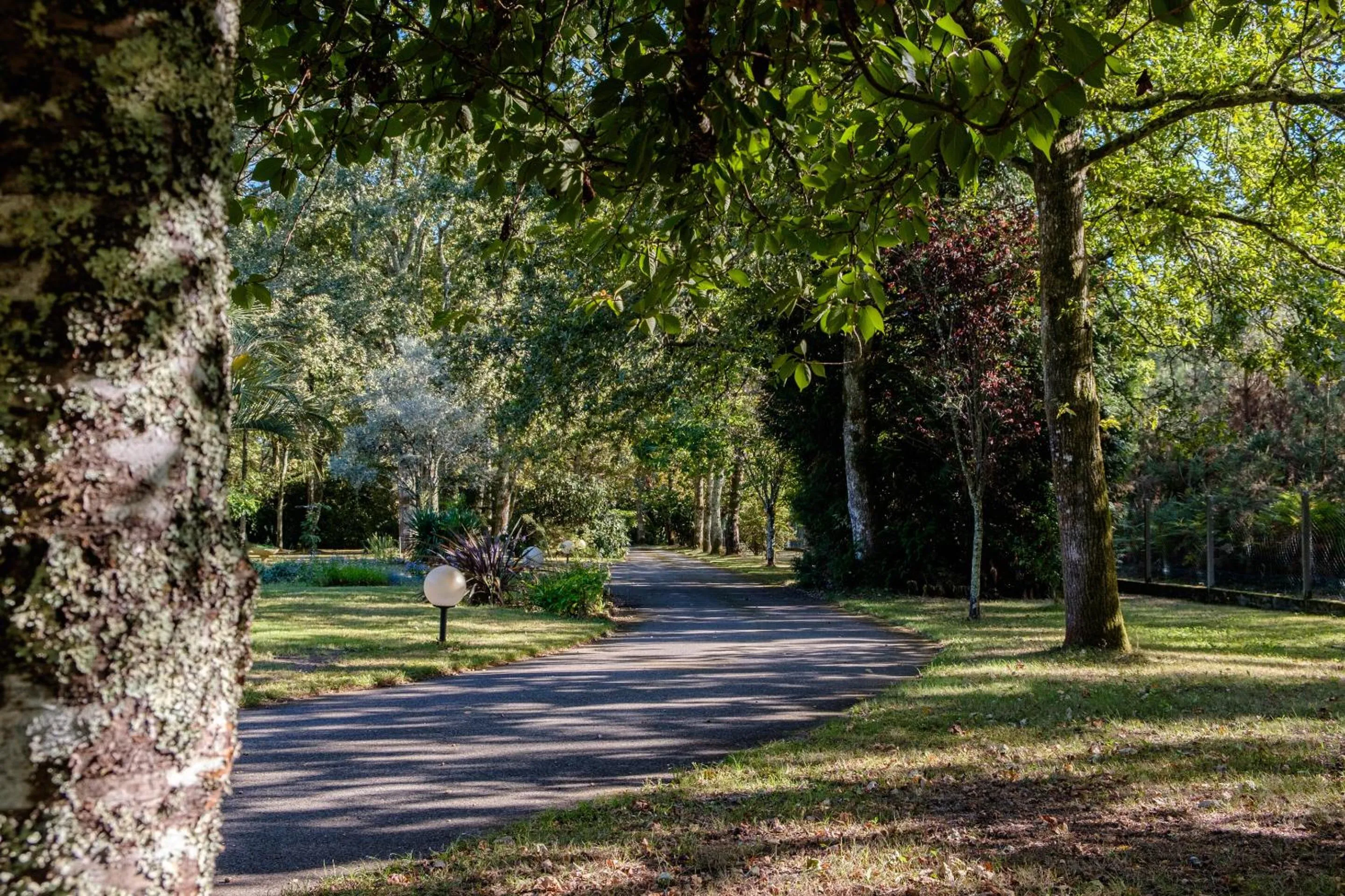 Other in Parc de L'Aiguade