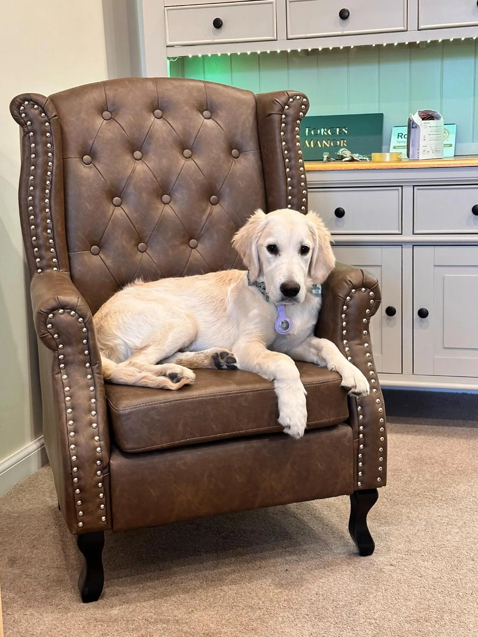 Other in Forces Manor