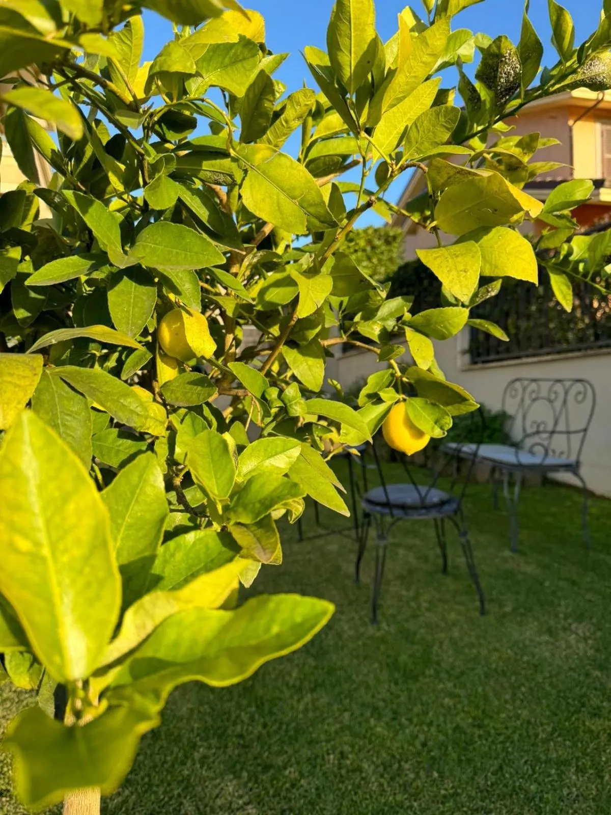 Garden view in La casa di Gabry Superior