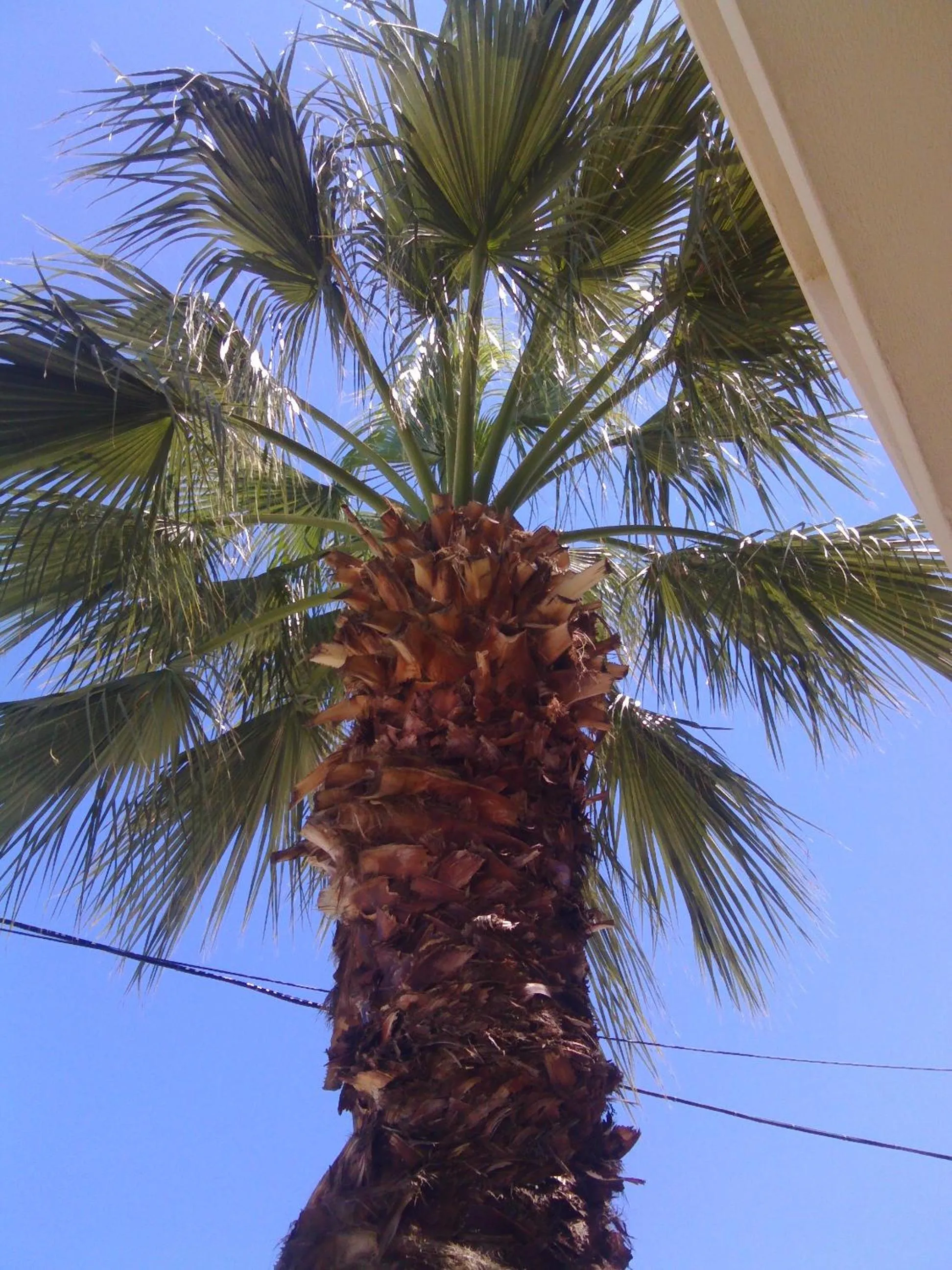 On site in Maria Apartments