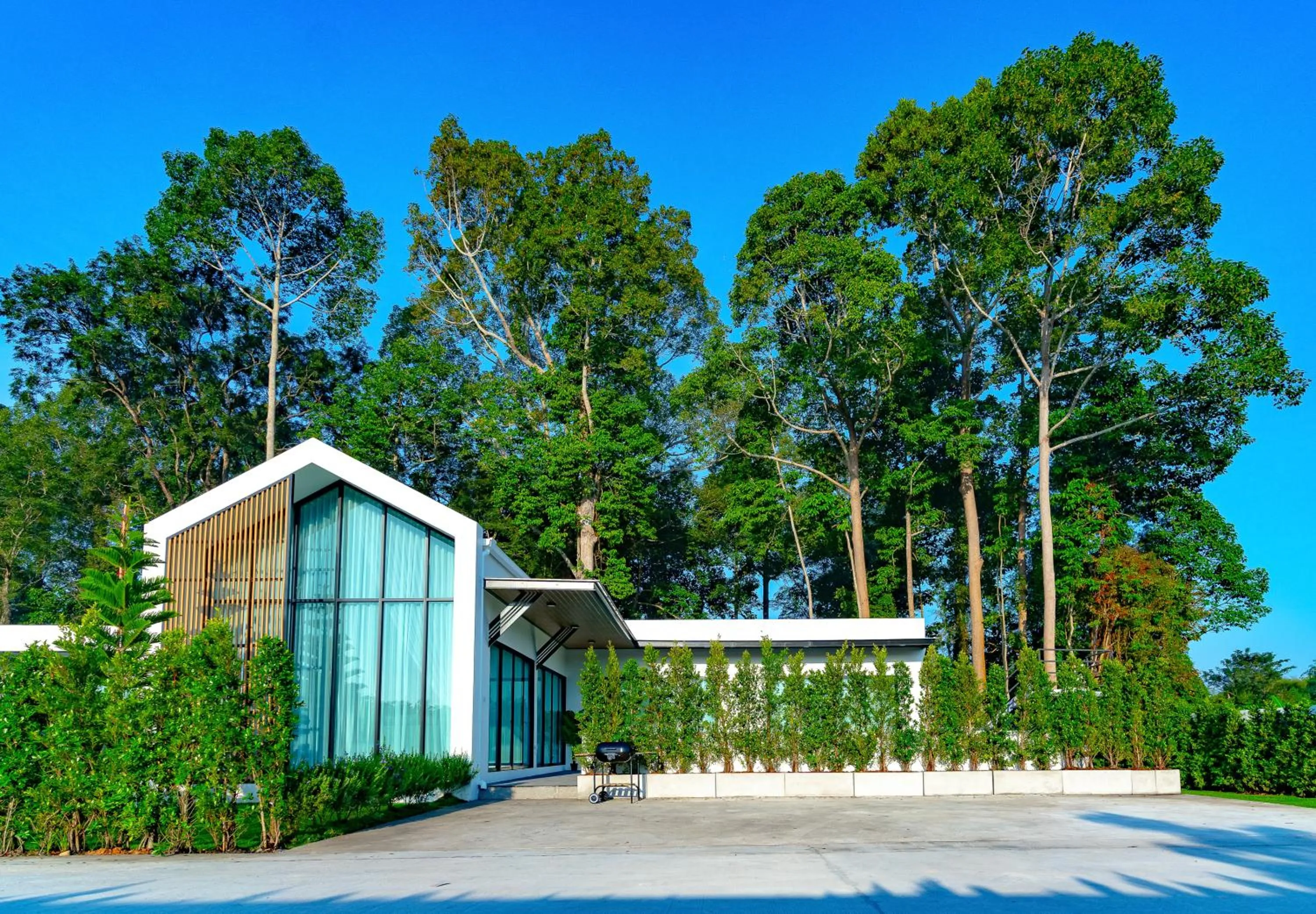 Garden in Villa Paramount 2