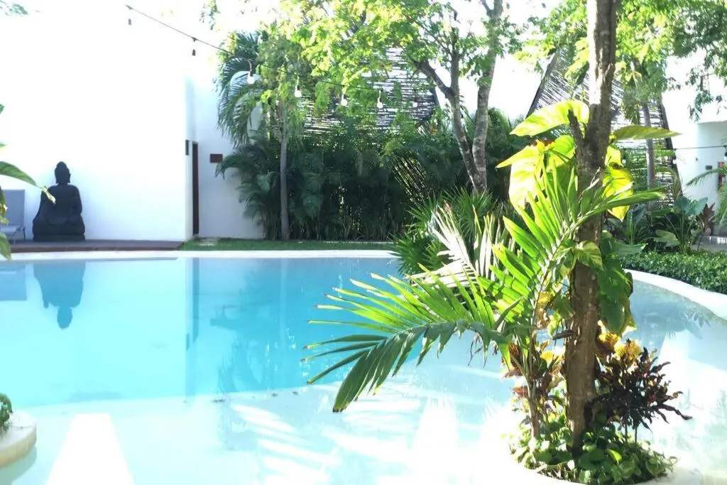 DK31 Wifi 600mb, Cheap Scooters by Moikkarentals