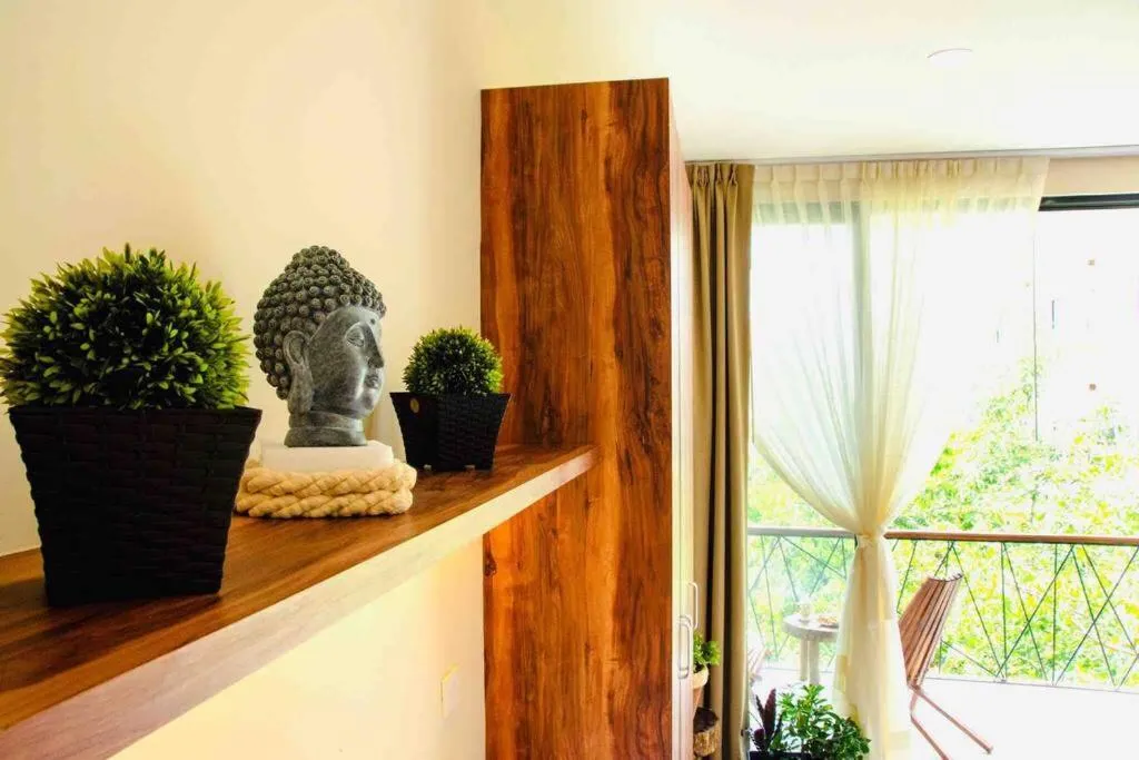 DK31 Wifi 600mb, Cheap Scooters by Moikkarentals