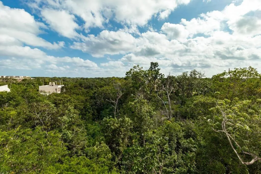 Natural landscape in DK31 Wifi 600mb, Cheap Scooters by Moikkarentals