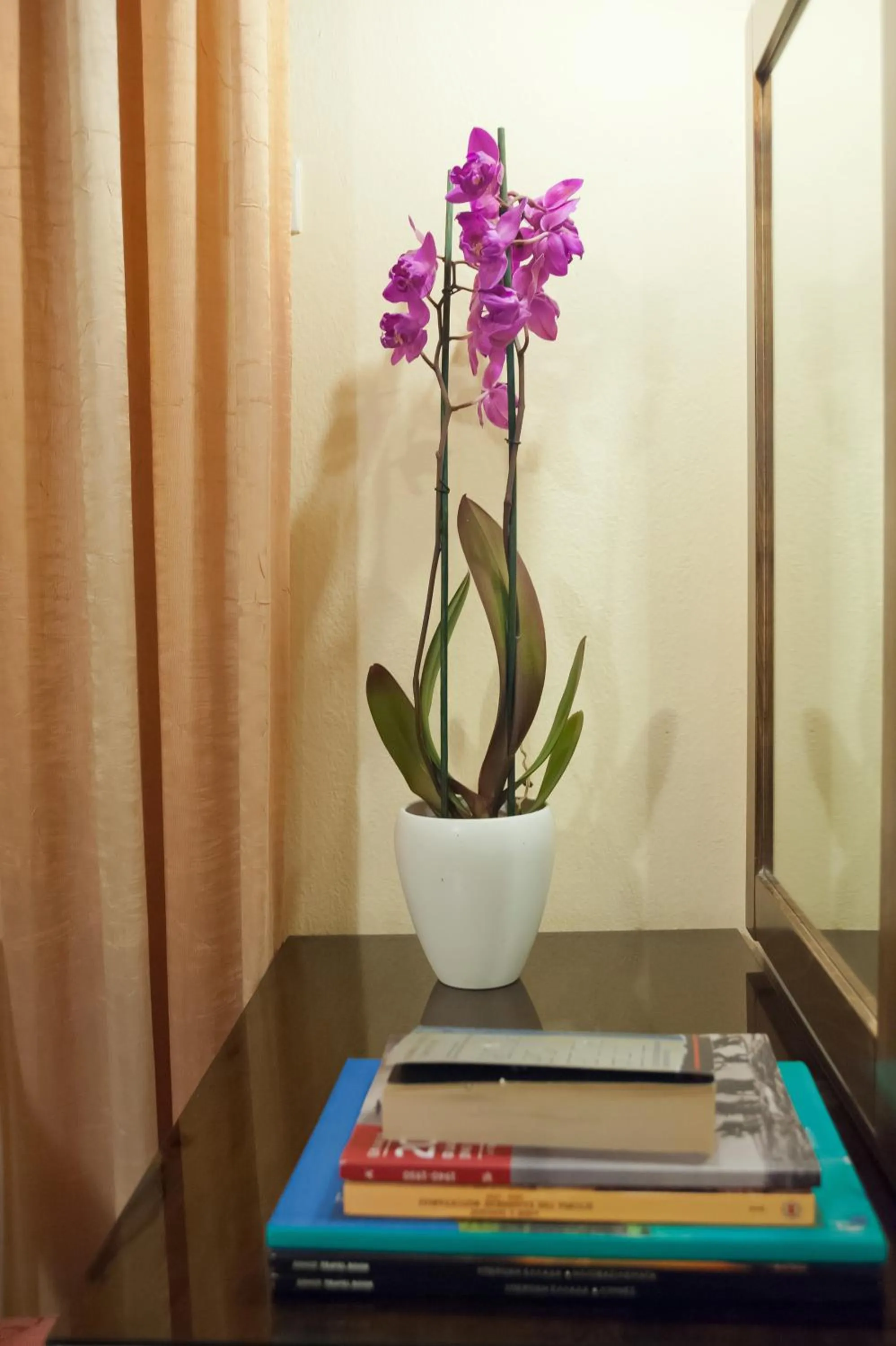 Library in Hermes Delphi Hotel