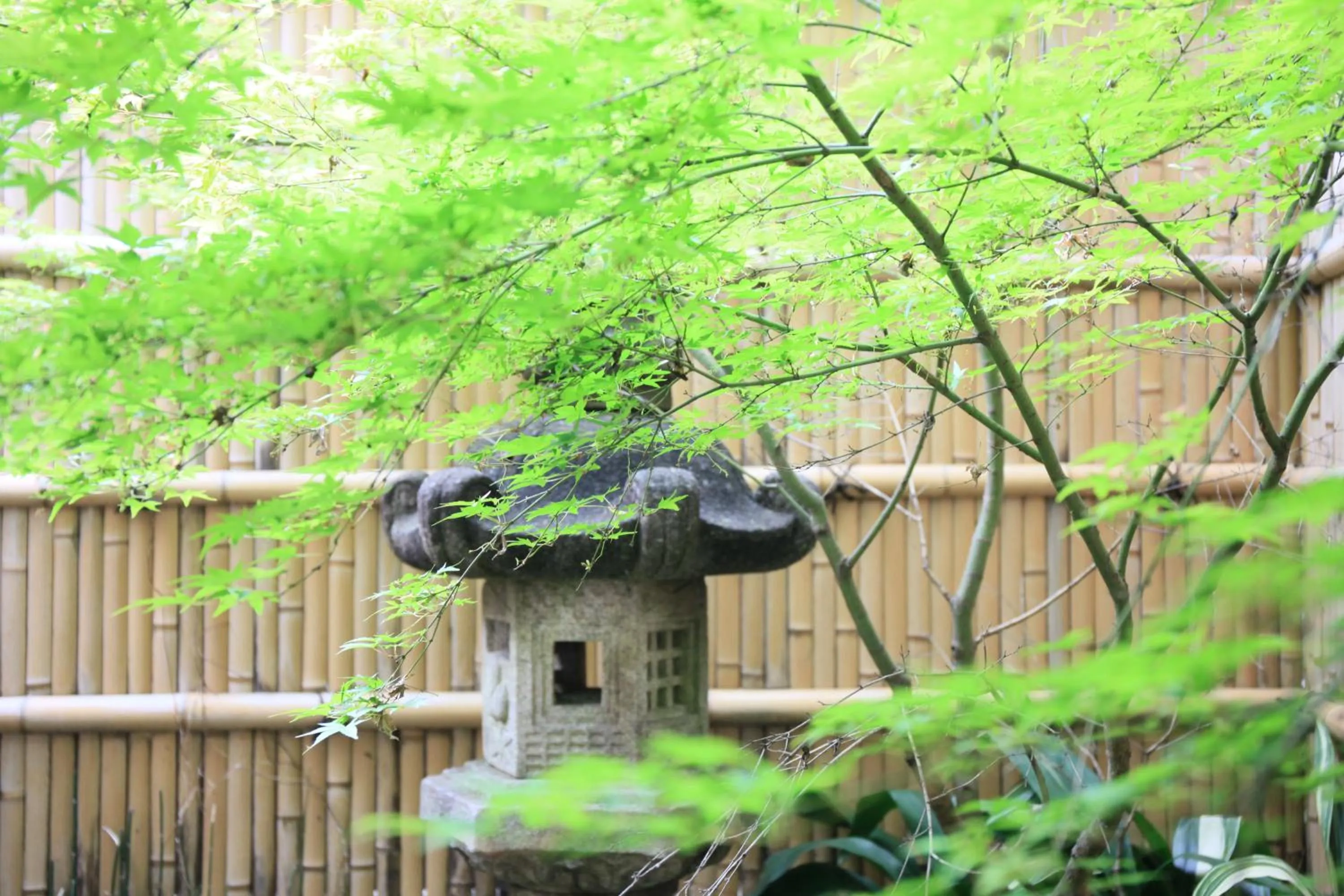 Natural landscape in HOTEL LEGASTA KYOTO SHIRAKAWA SANJO