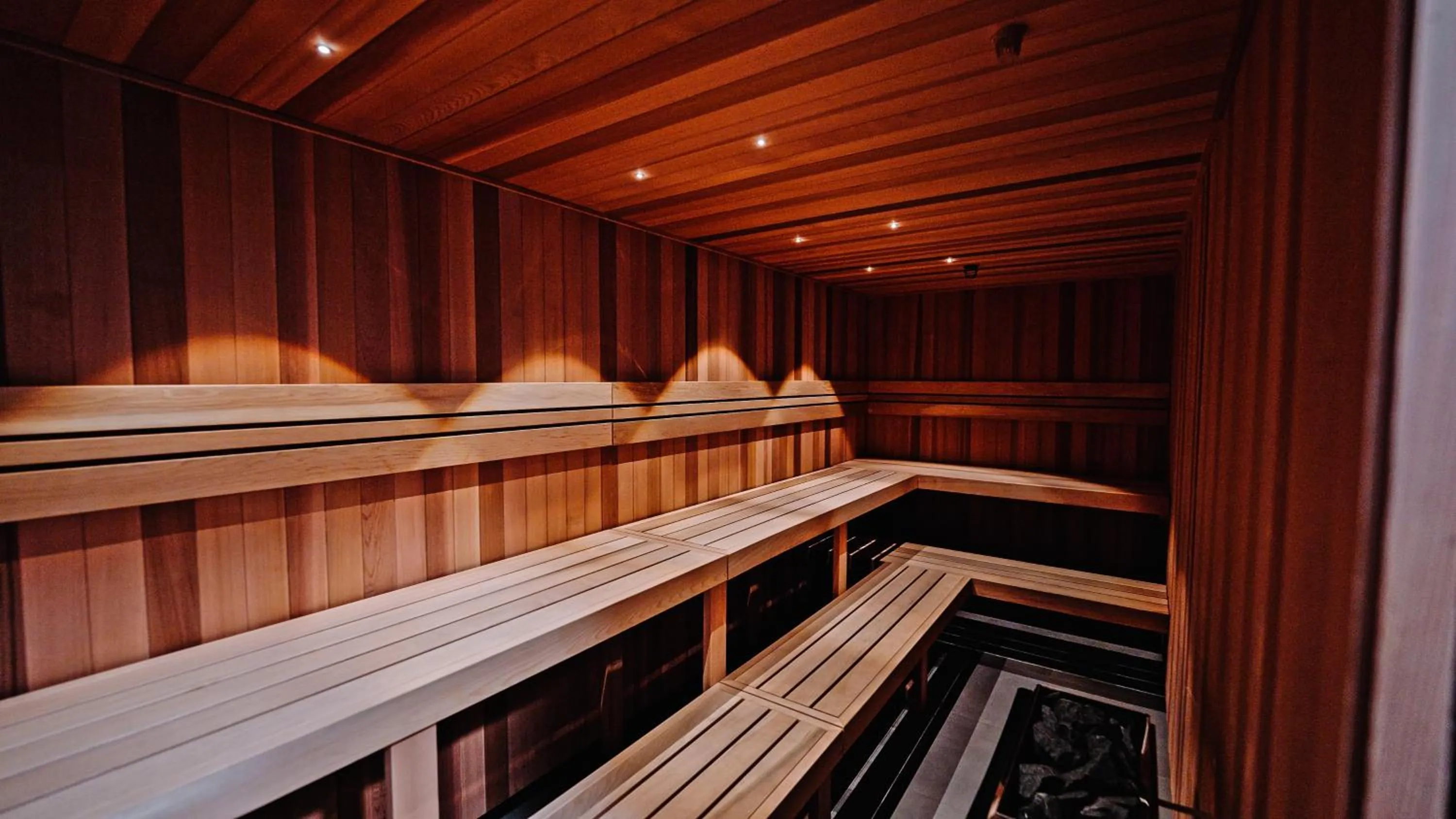 Sauna in 291 on King