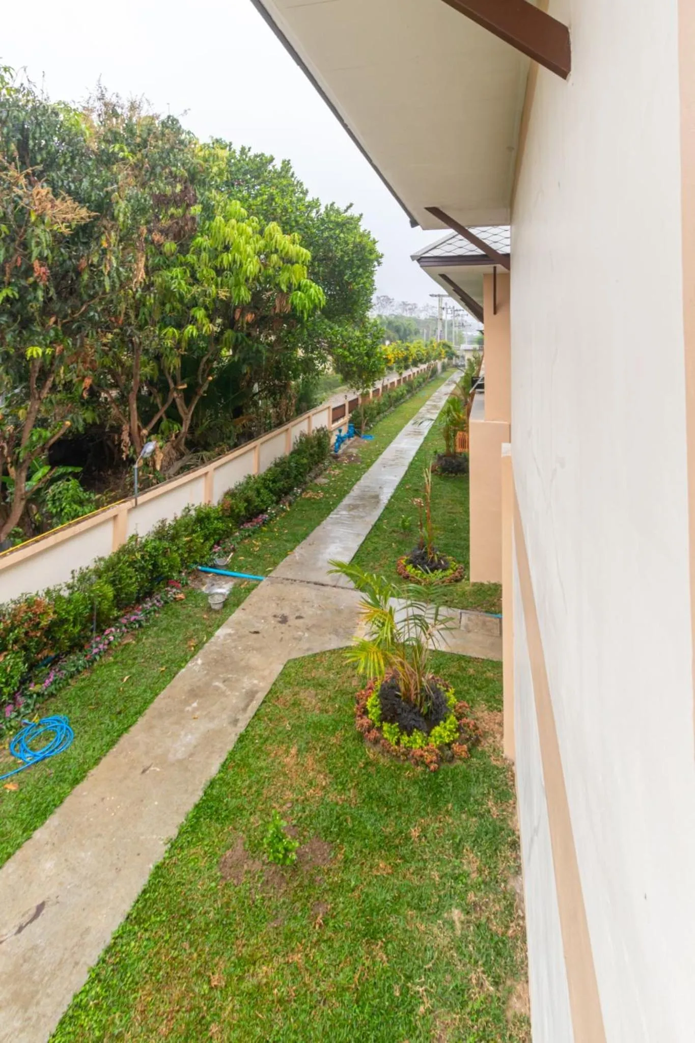 Garden view in Peacock De Pai Hotel