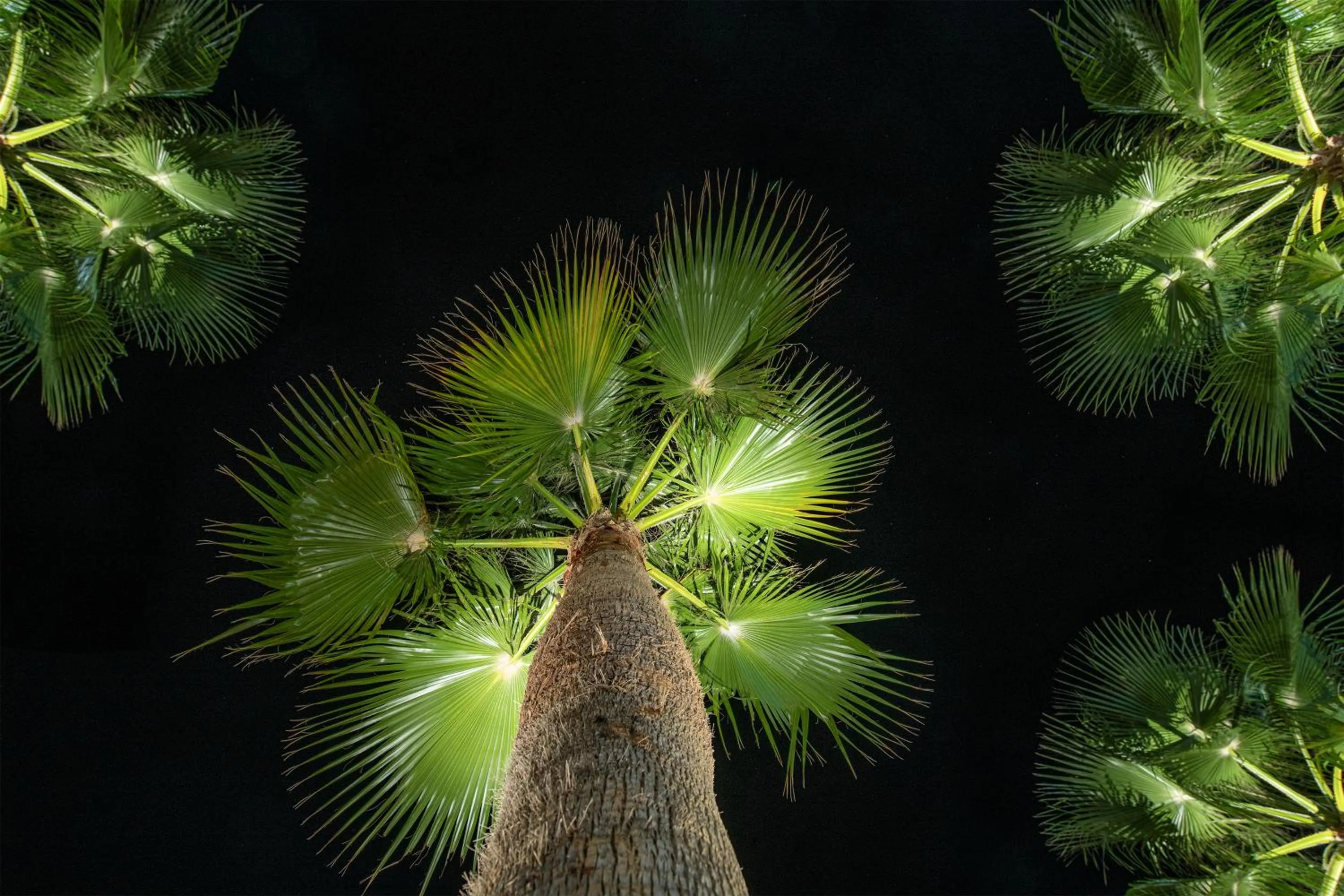 Night in Sea View Hotel & Apartments