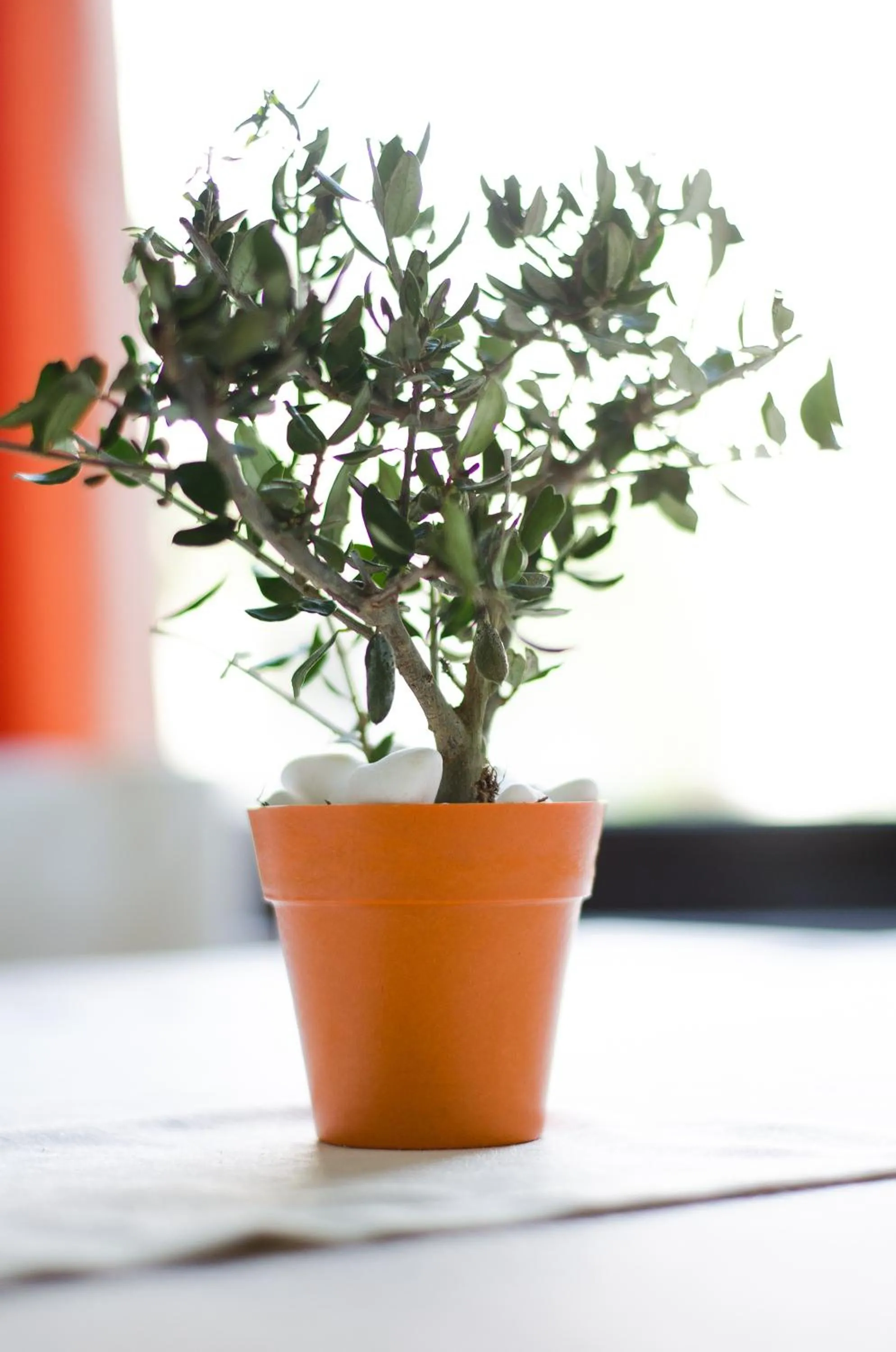 Decorative detail in Sea View Hotel & Apartments
