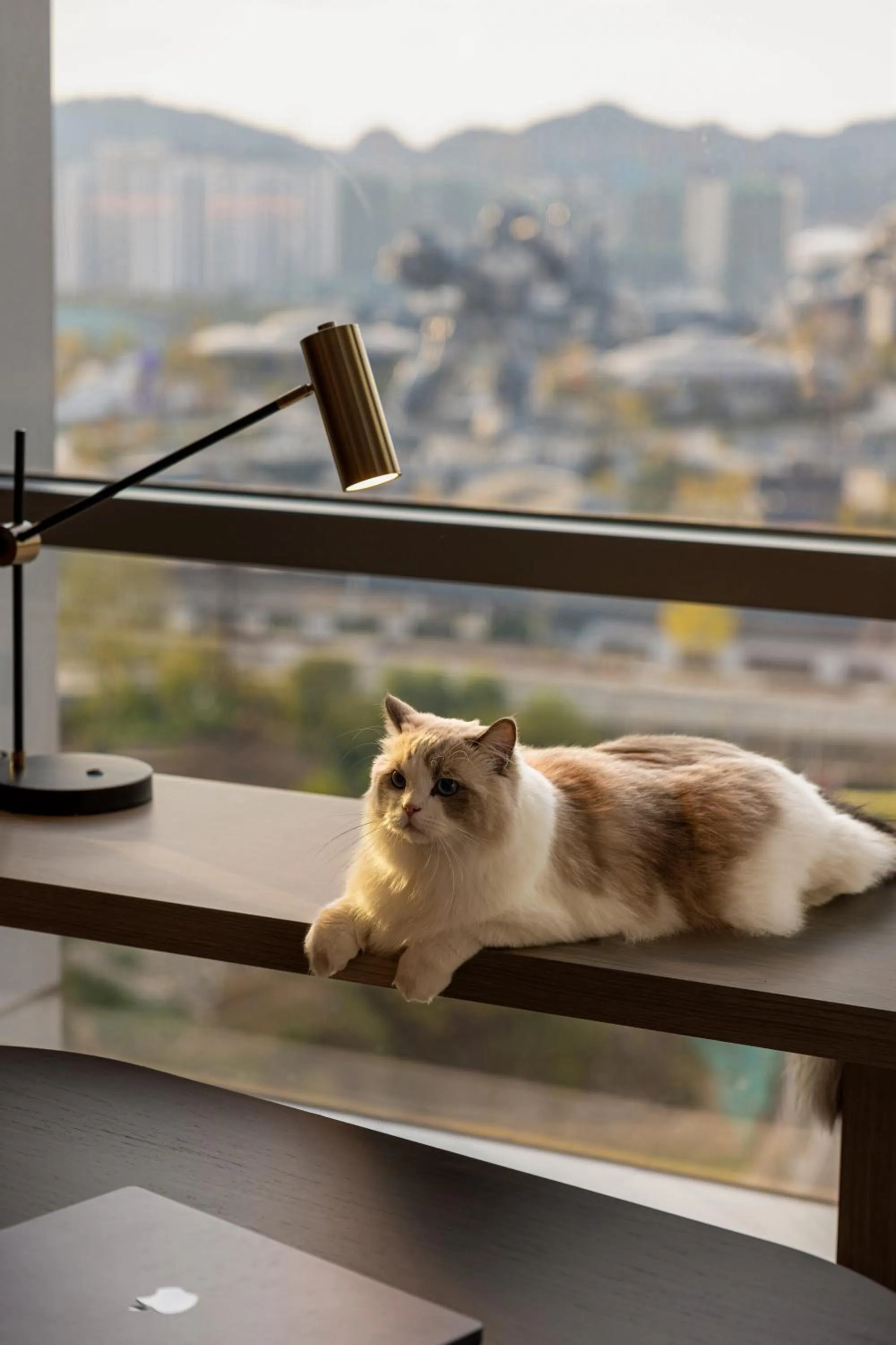 Pets in Home2 Suites by Hilton Guiyang Nanming Jiyuan