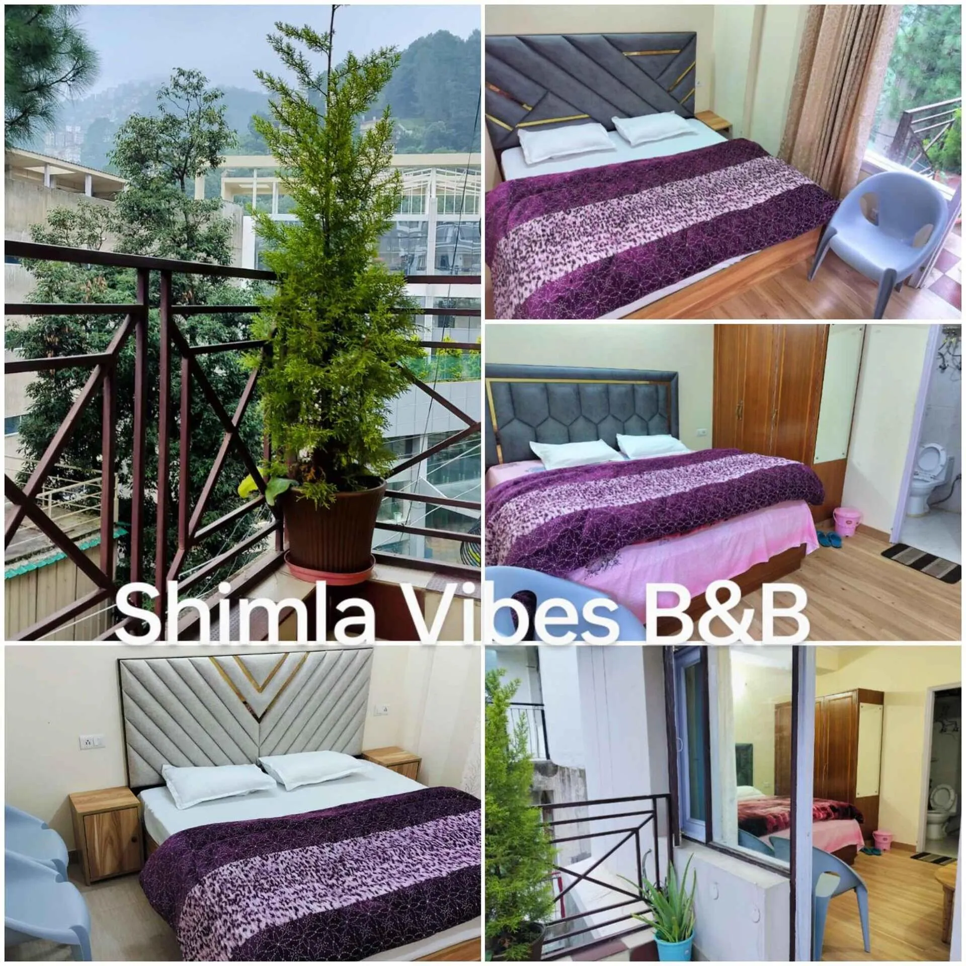 Shimla Vibes B & B free pick and drop from ISBT Shimla