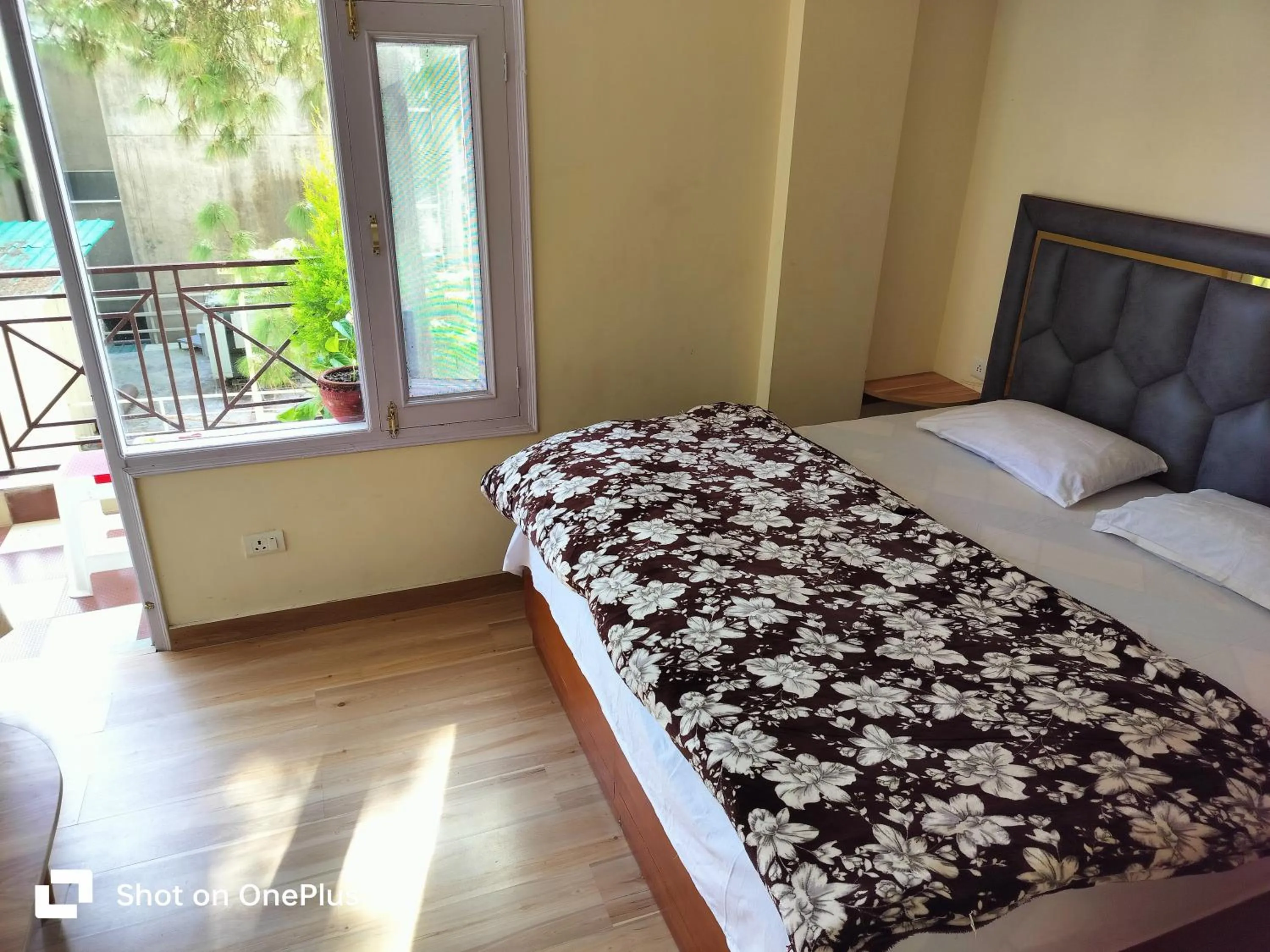Bed in Shimla Vibes B & B free pick and drop from ISBT Shimla