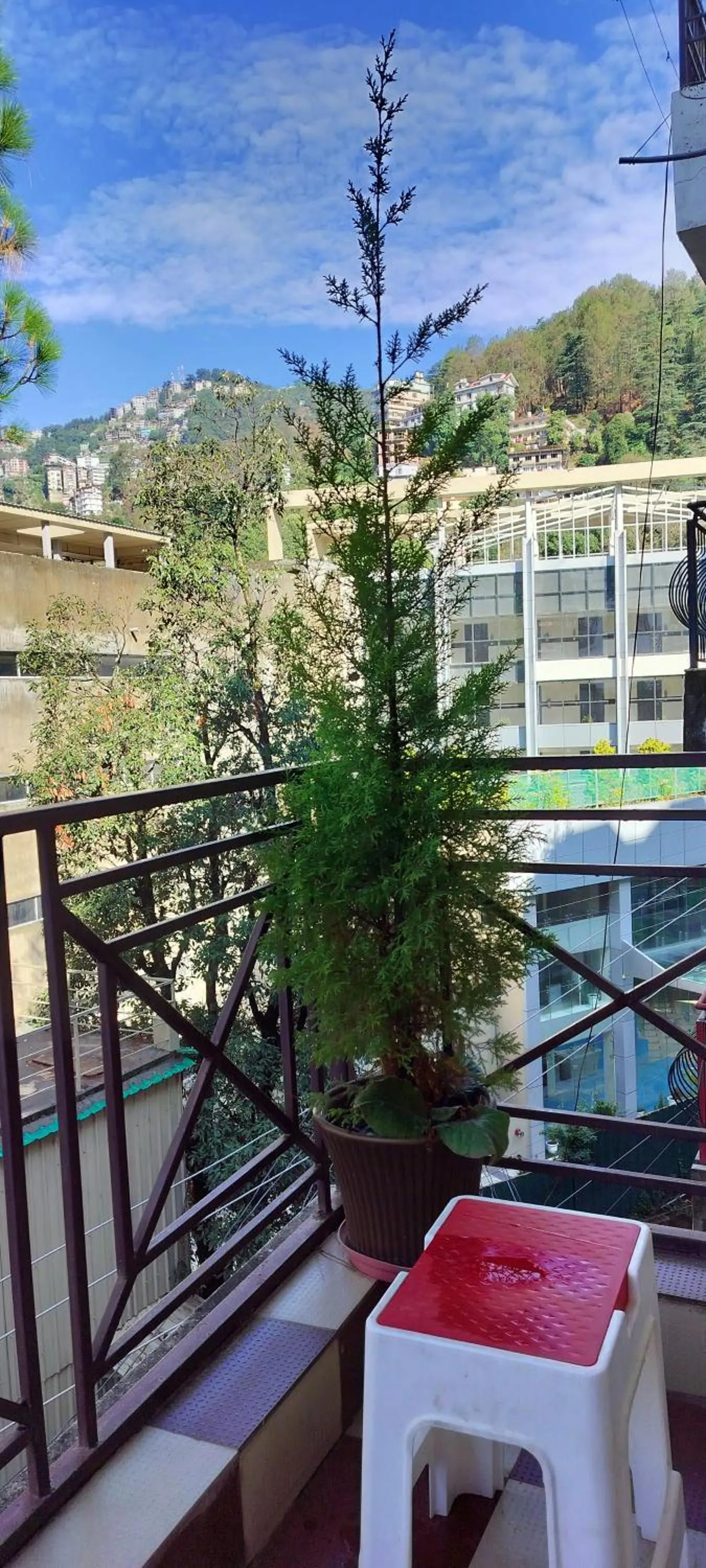 Shimla Vibes B & B free pick and drop from ISBT Shimla